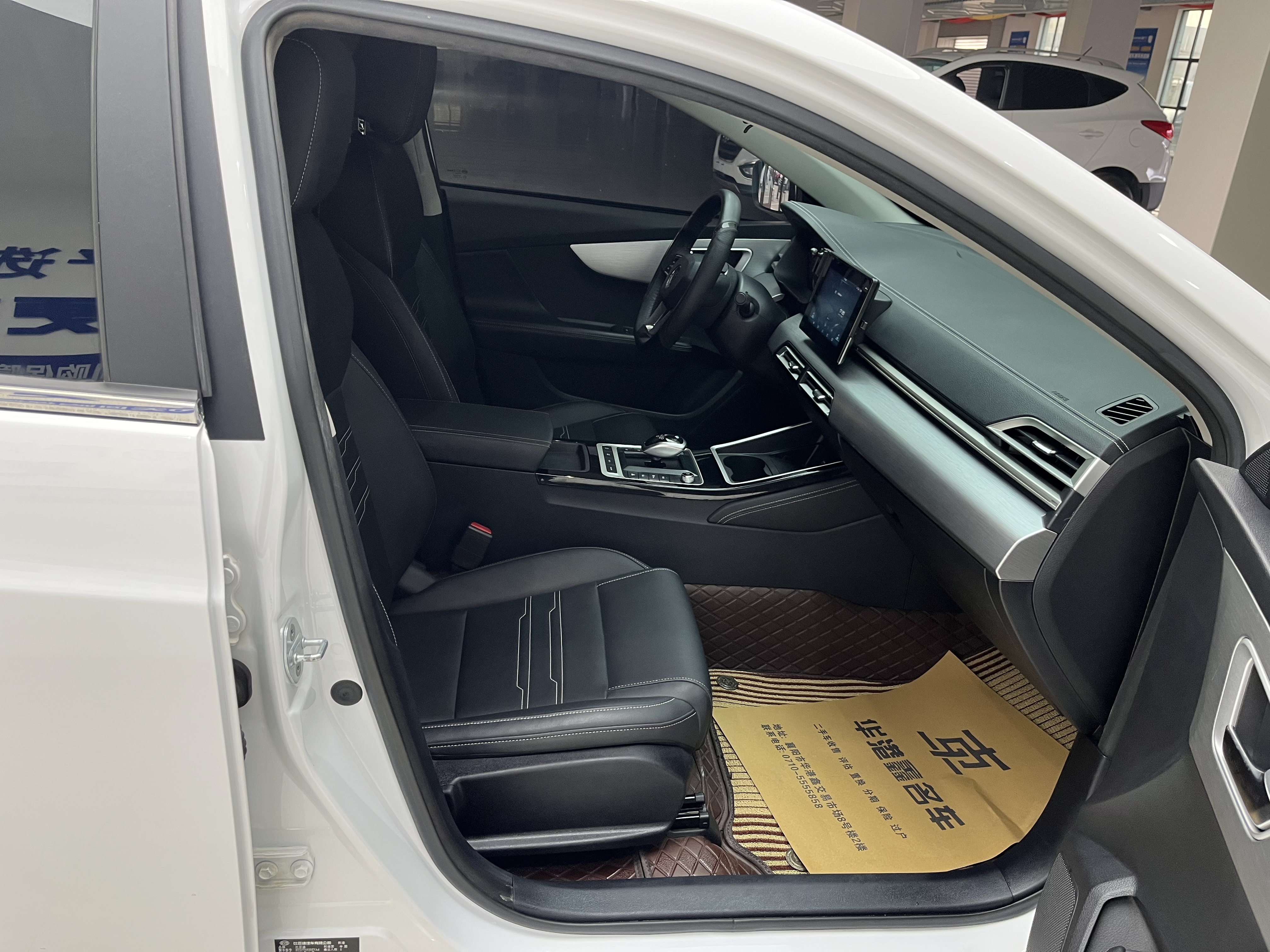 BYD Qin New Energy 2020 car image #12