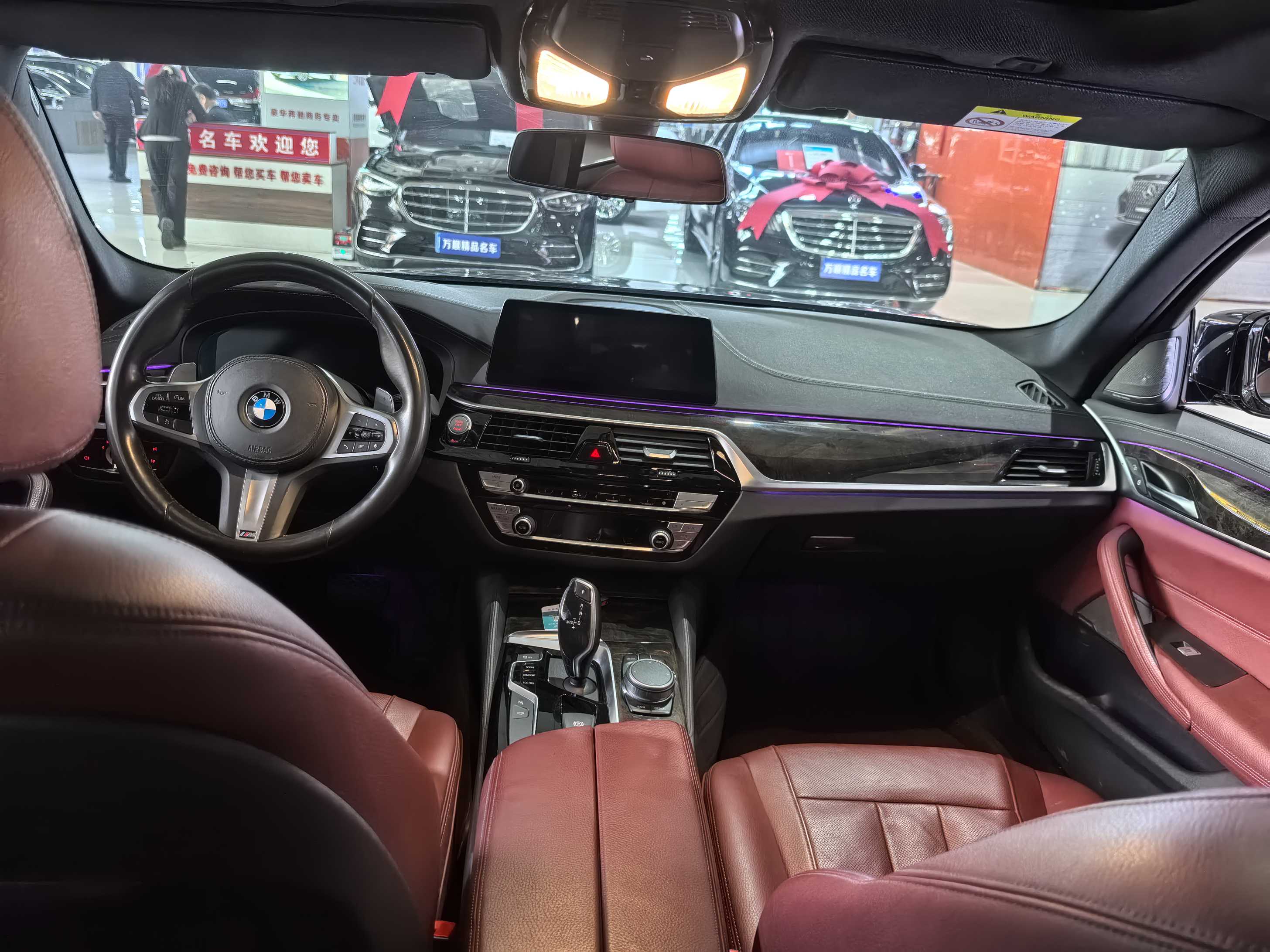 BMW 5 Series 2019 car image #12