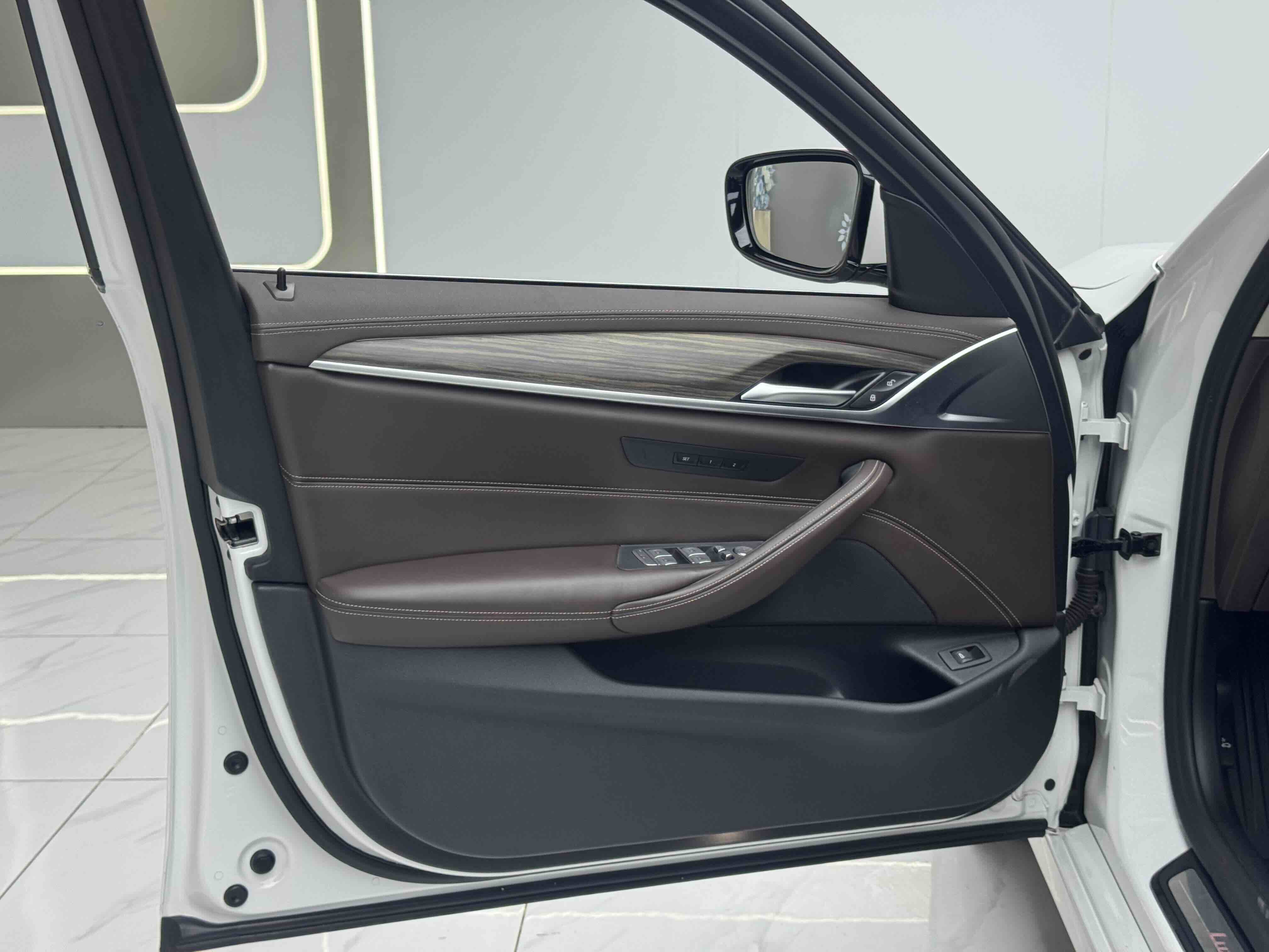 BMW 5 Series 2020 car image #12