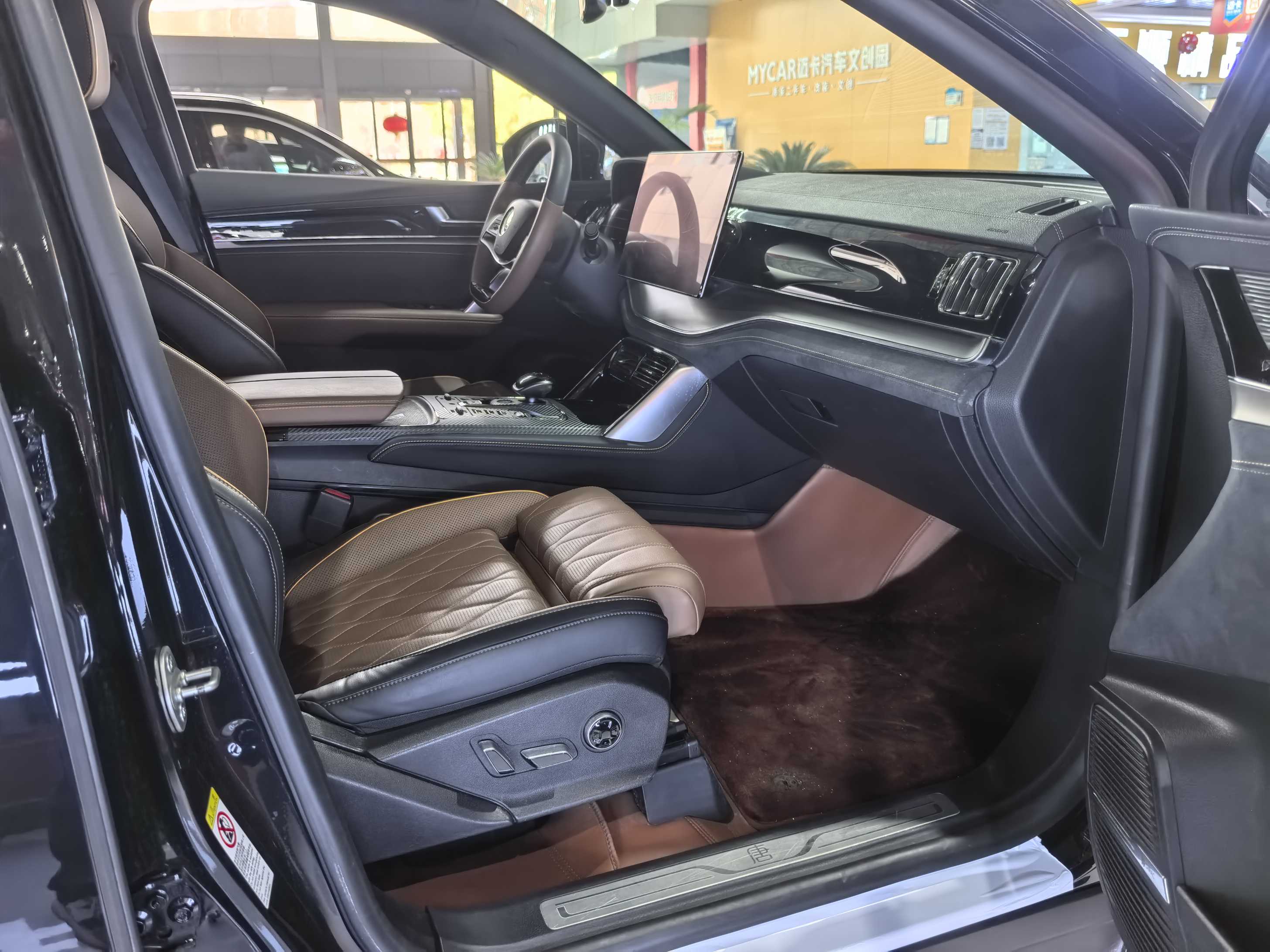 BYD Tang New Energy 2021 car image #12