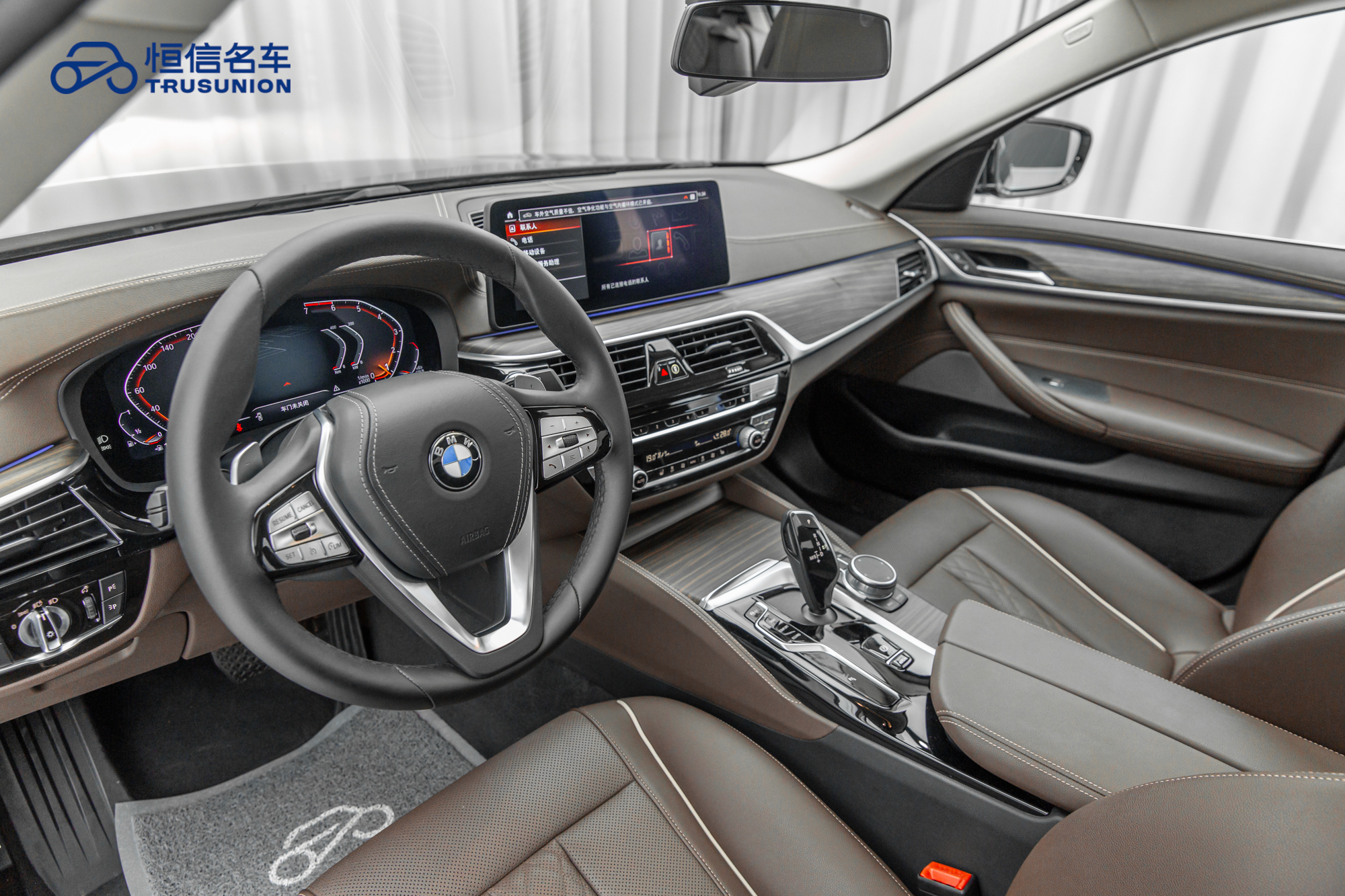 BMW 5 Series 2021 car image #12