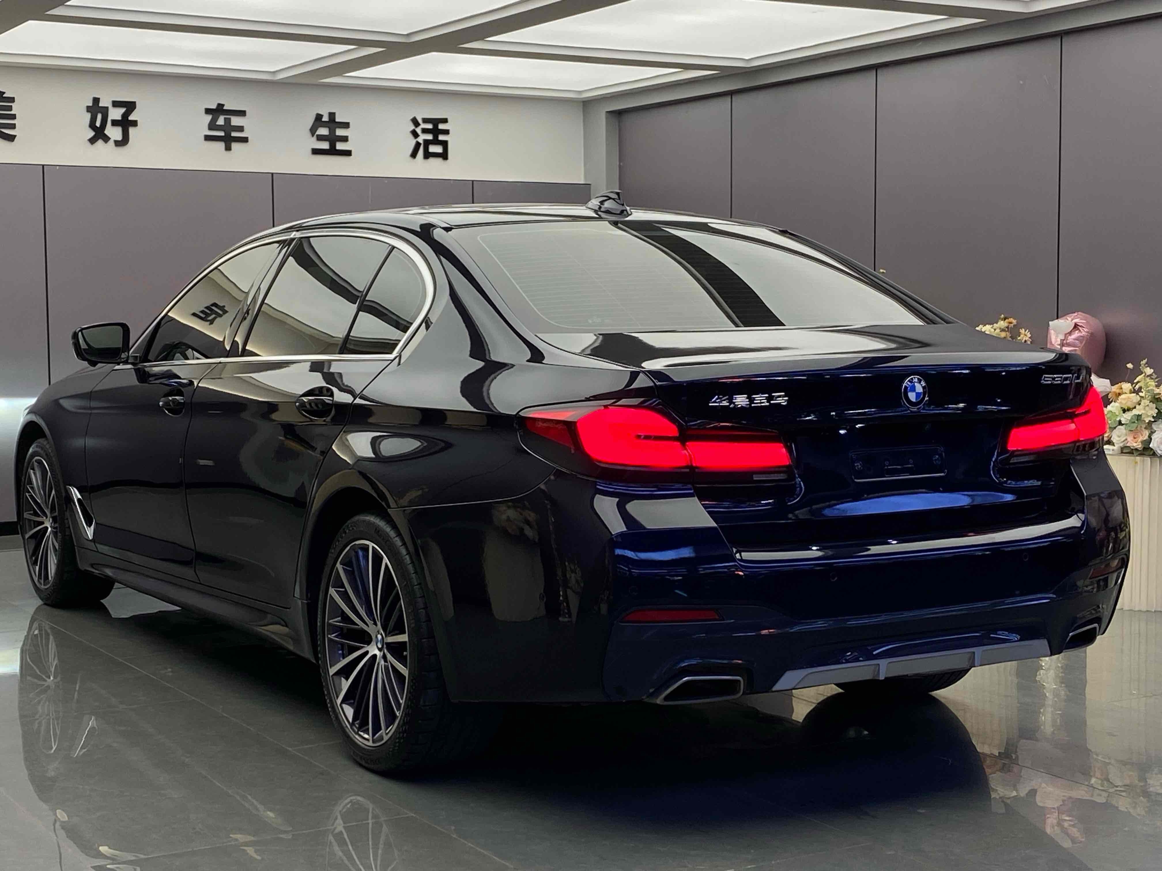 BMW 5 Series 2021 #12 BMW 5 Series 2021 car image #12