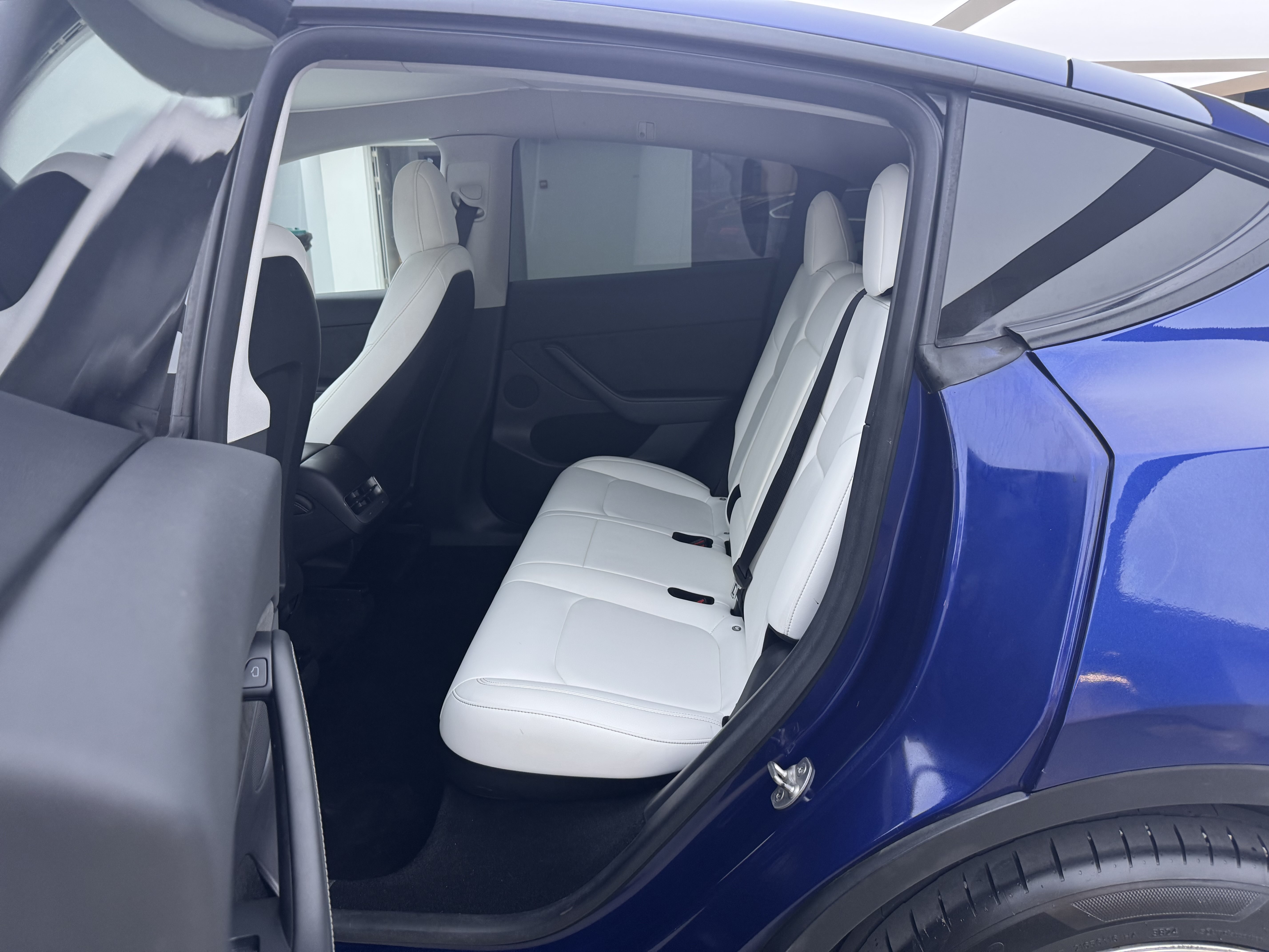 Tesla Model Y 2021 #12 Tesla Model Y 2021 car image #12