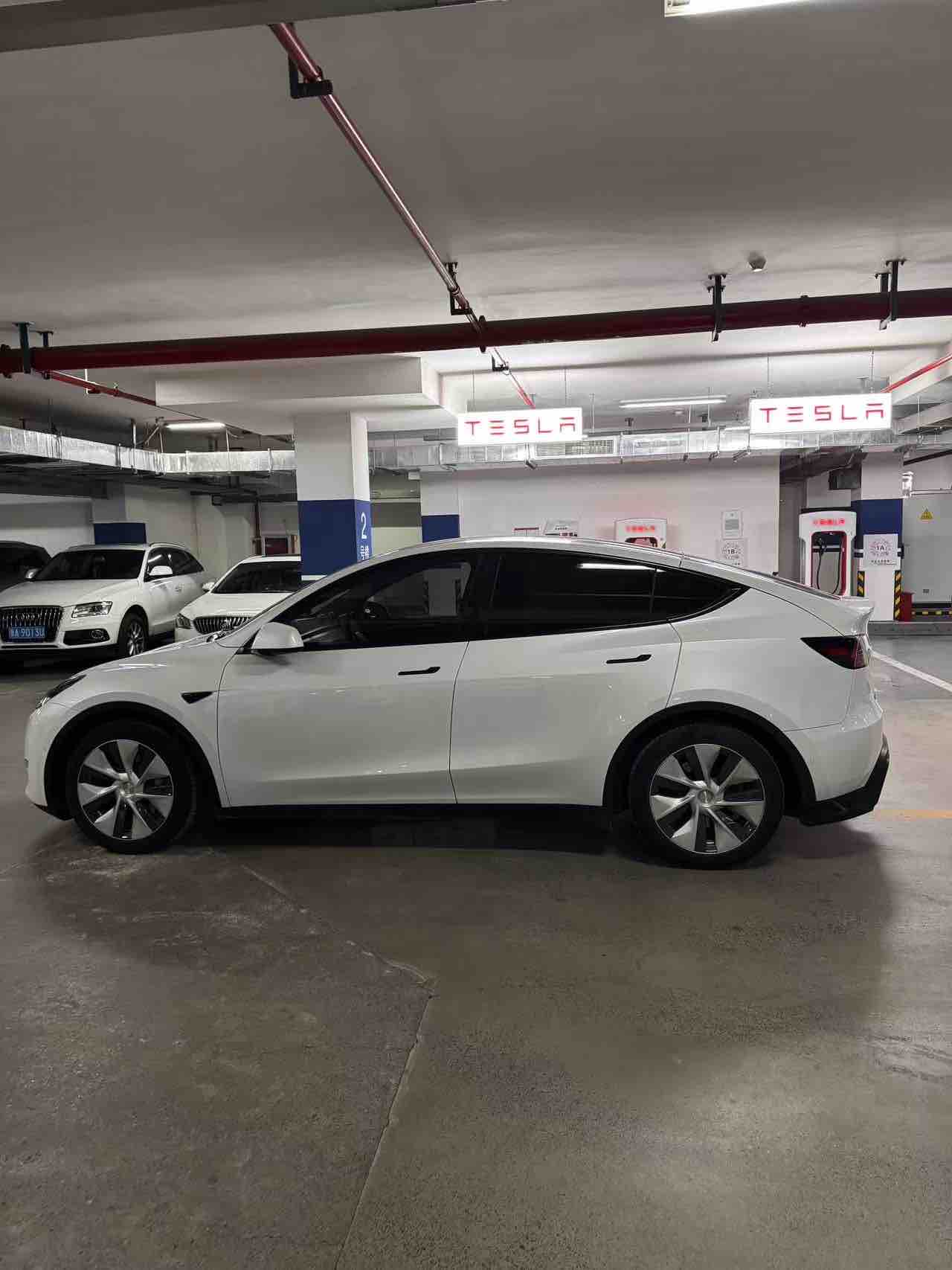 Tesla Model Y 2021 #12 Tesla Model Y 2021 car image #12