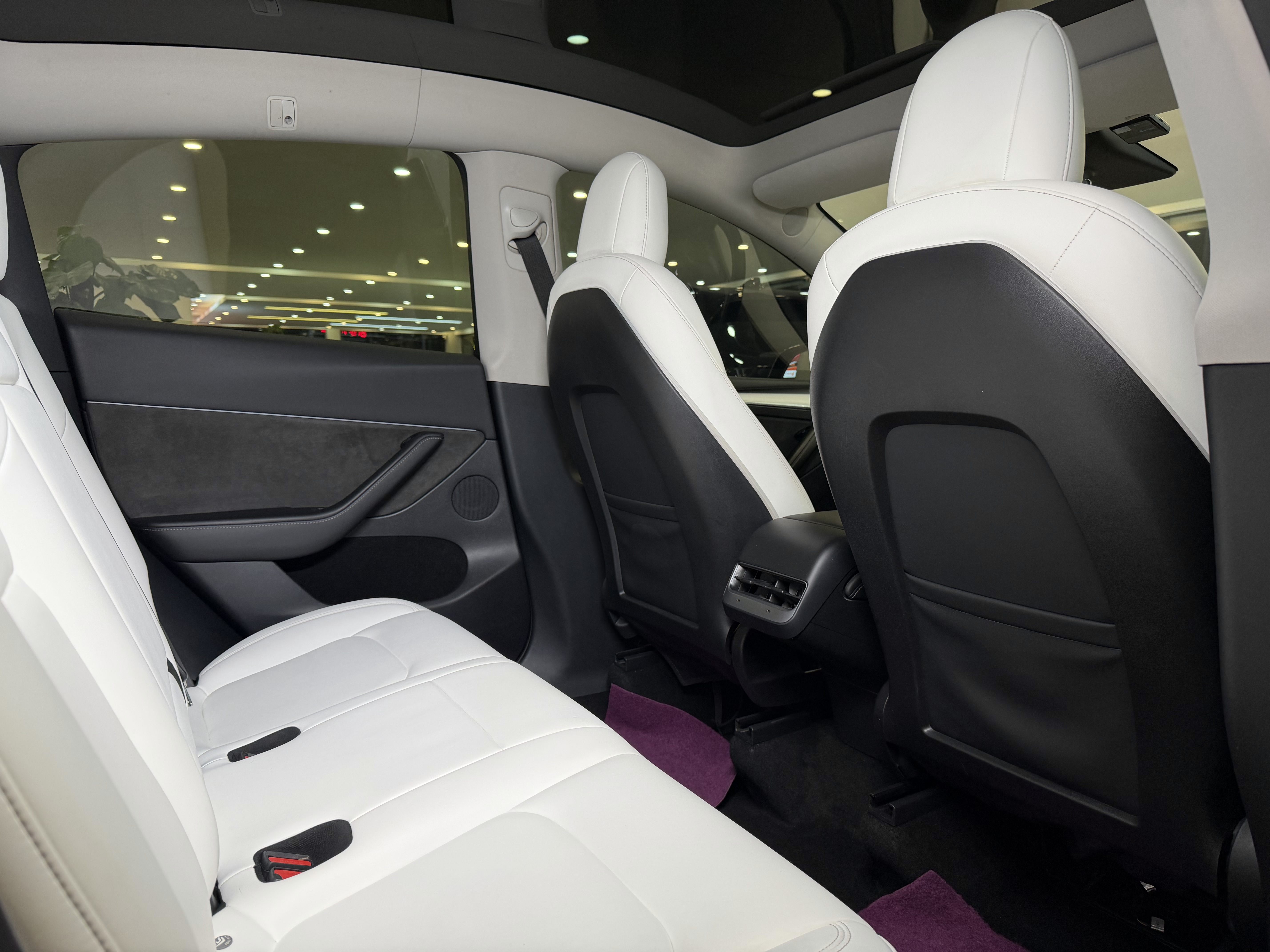 Tesla Model Y 2021 #12 Tesla Model Y 2021 car image #12