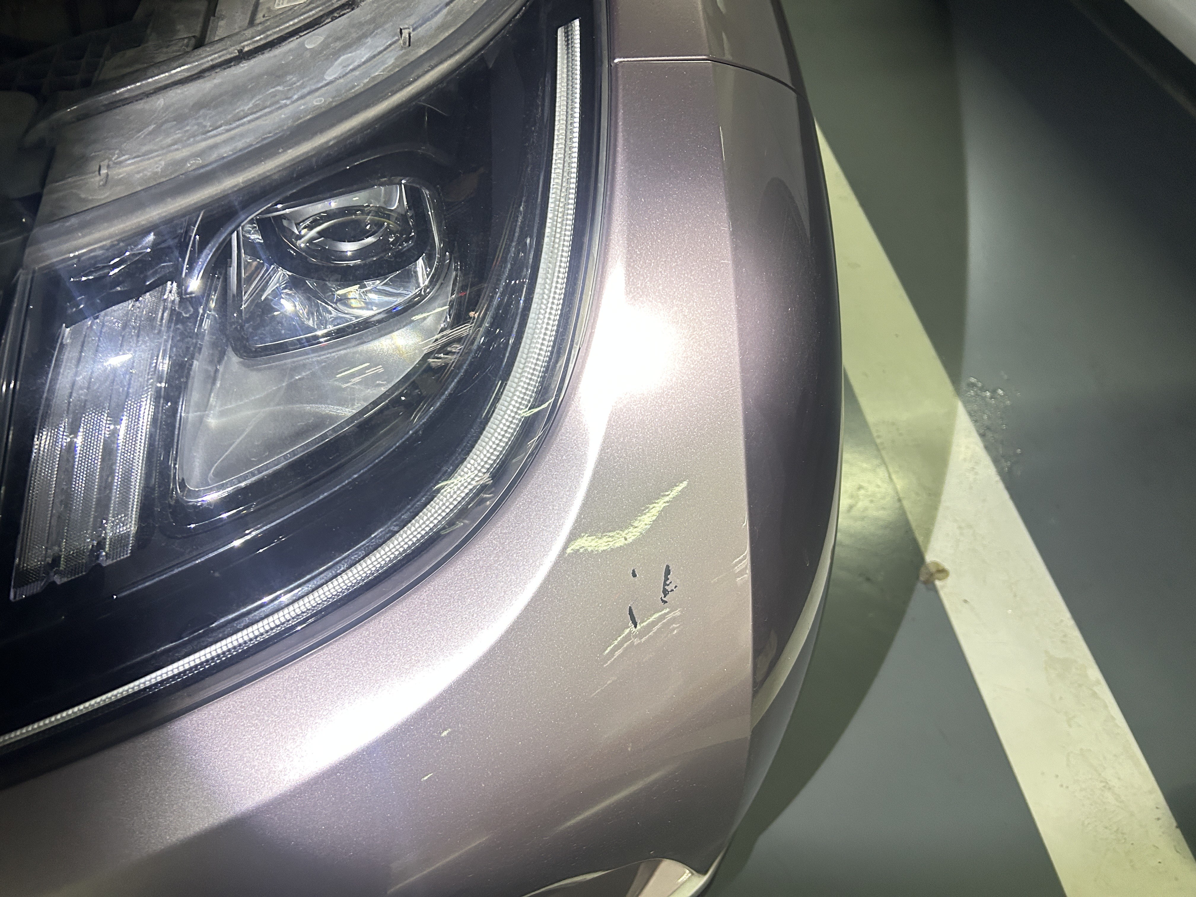 BYD Dolphin 2022 car image #12