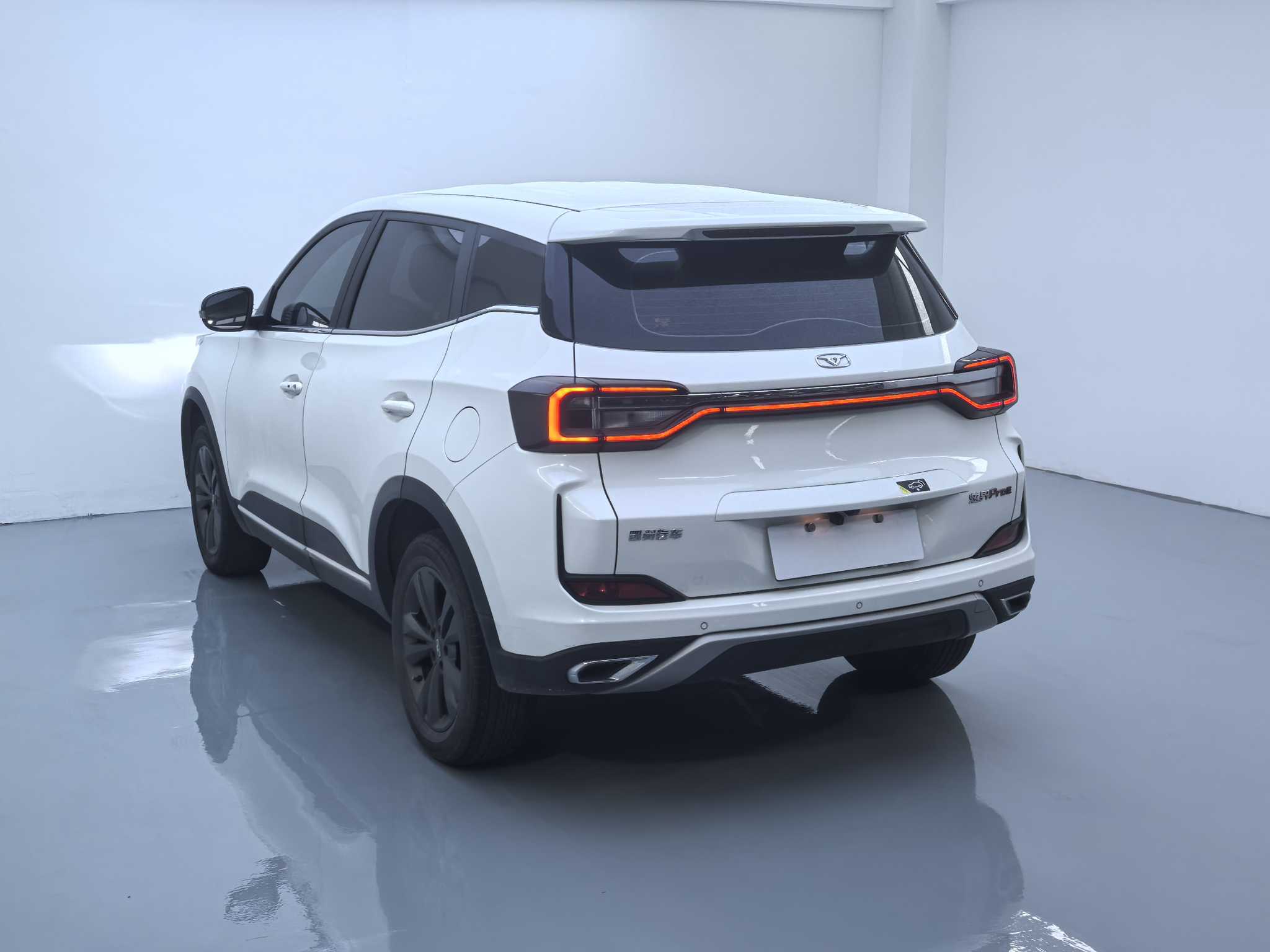 Showjet Pro EV 2022 car image #12