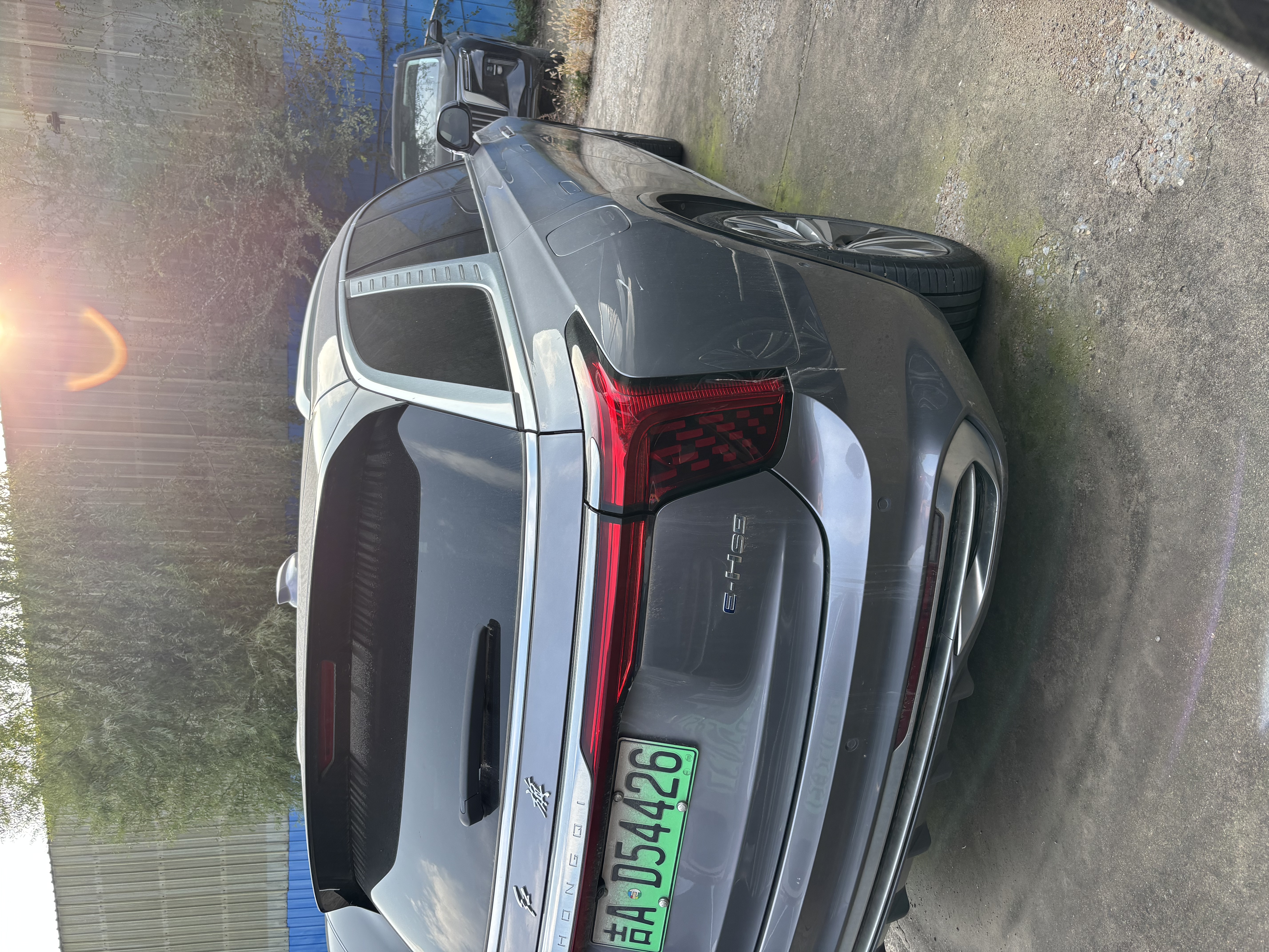 HongQi E-HS9 2023 #12 HongQi E-HS9 2023 car image #12