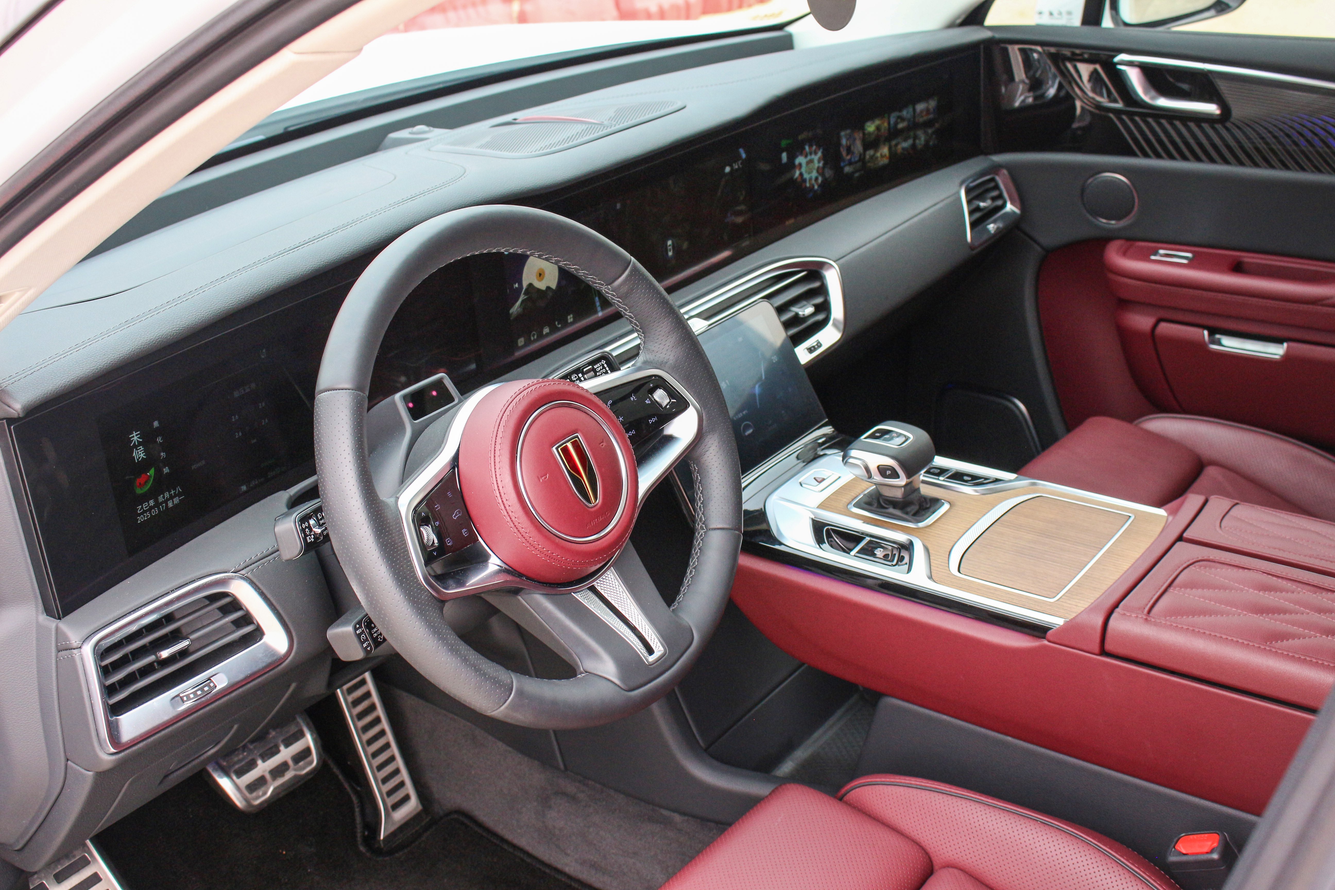 HongQi E-HS9 2023 car image #12