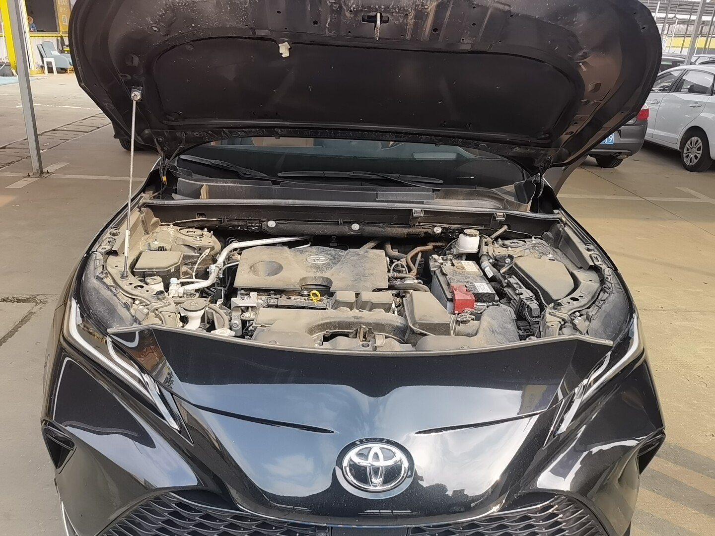 Toyota Venza 2022 car image #12