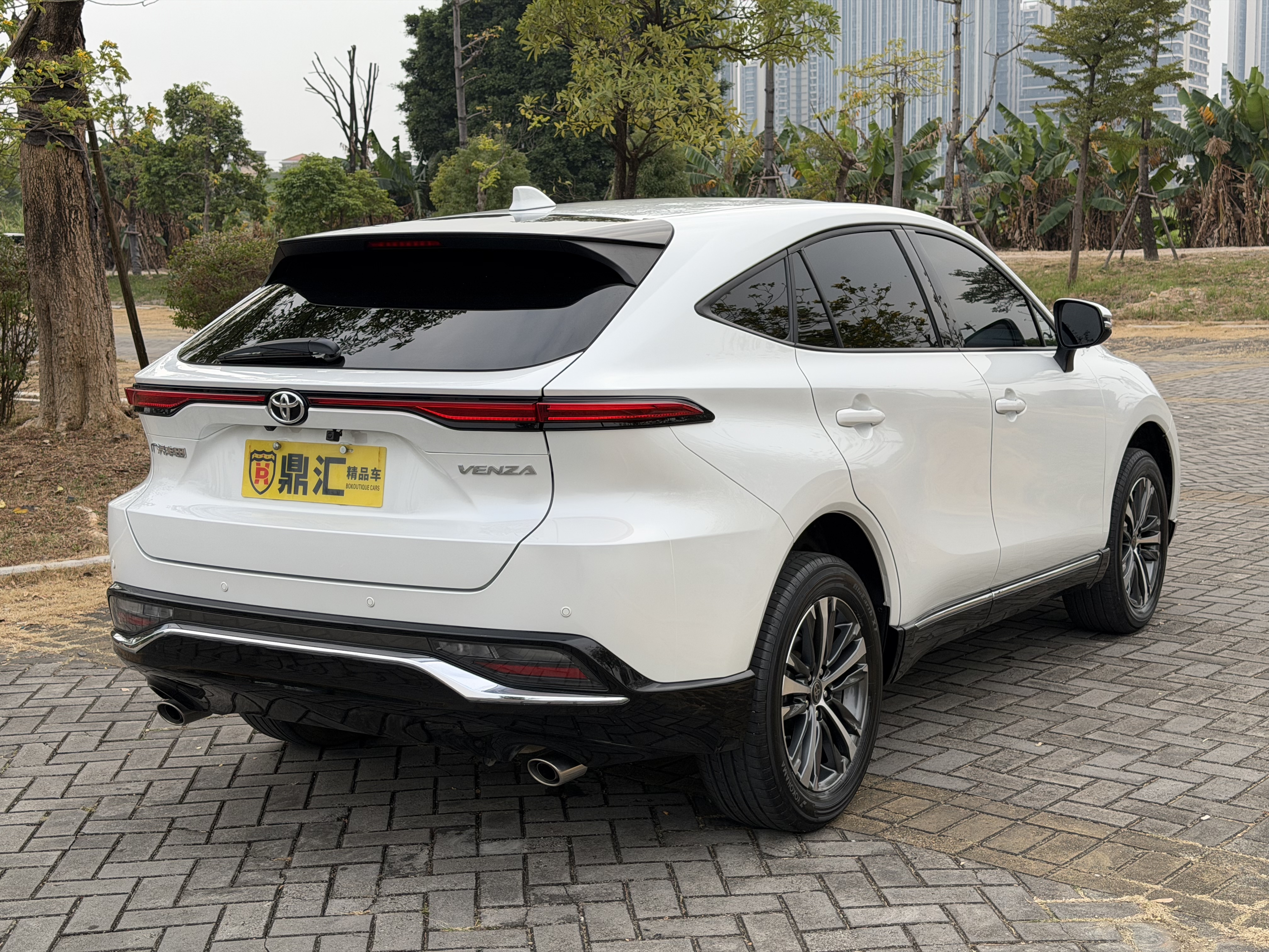 Toyota Venza 2023 immagine di auto #12