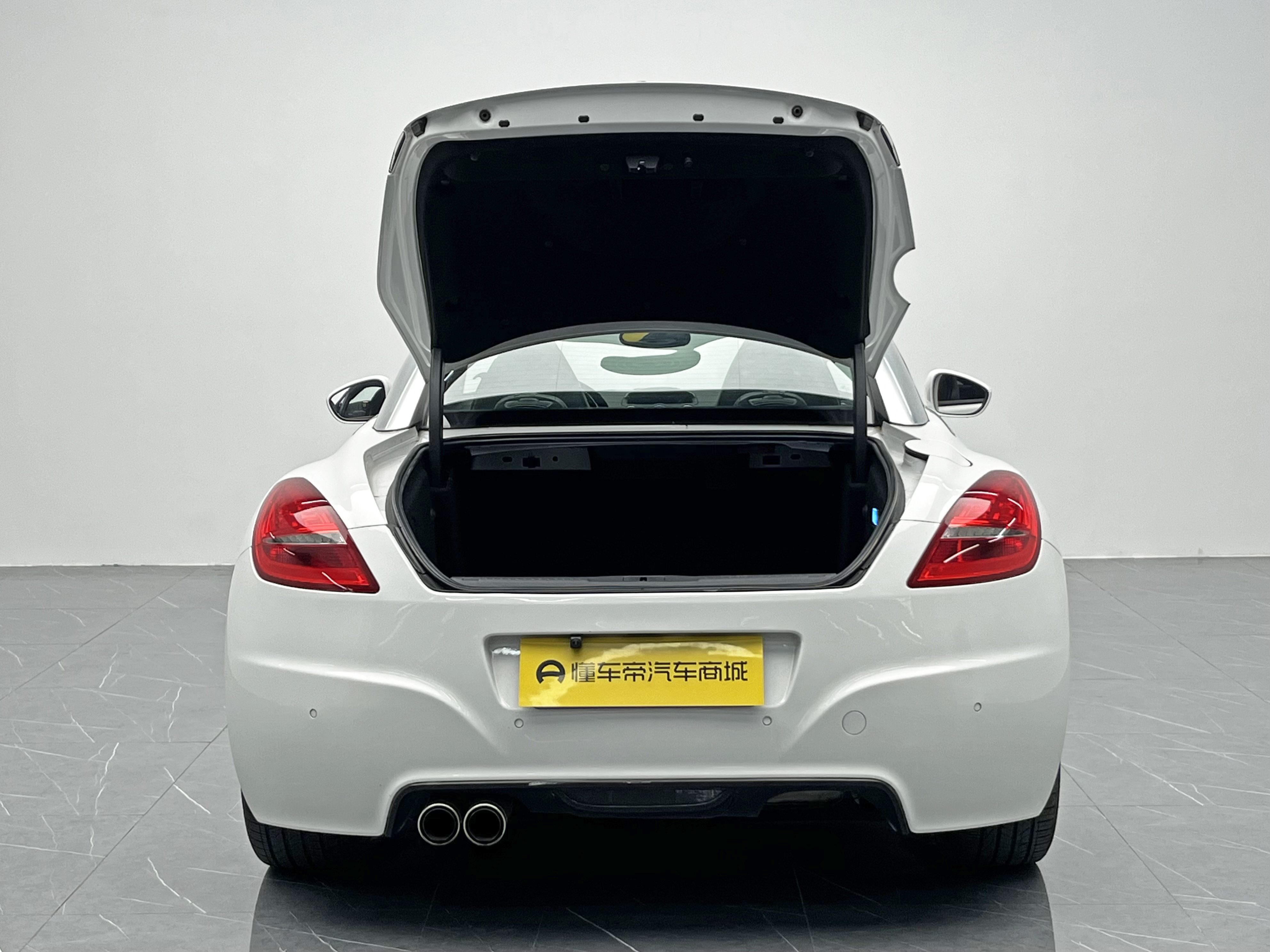 Peugeot RCZ 2012 صورة سيارة #12