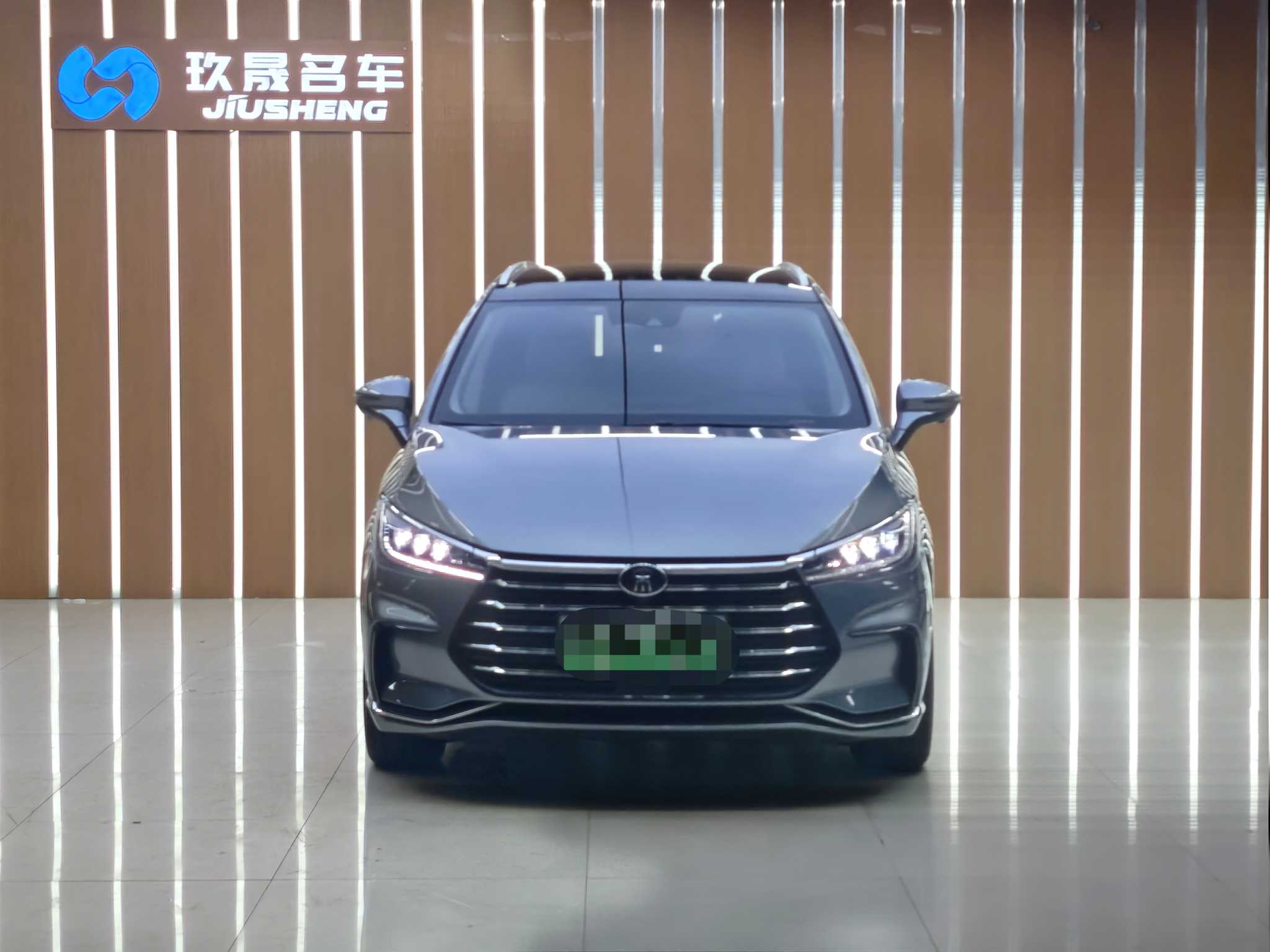 BYD Song MAX New Energy 2023 car image #12