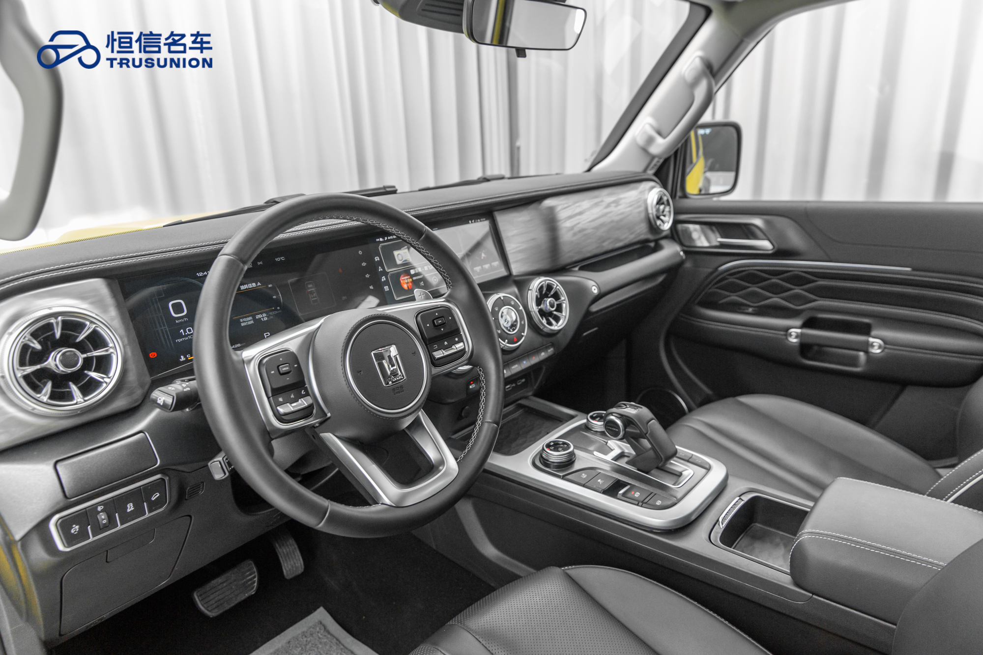 Tank 300 2023 car image #12