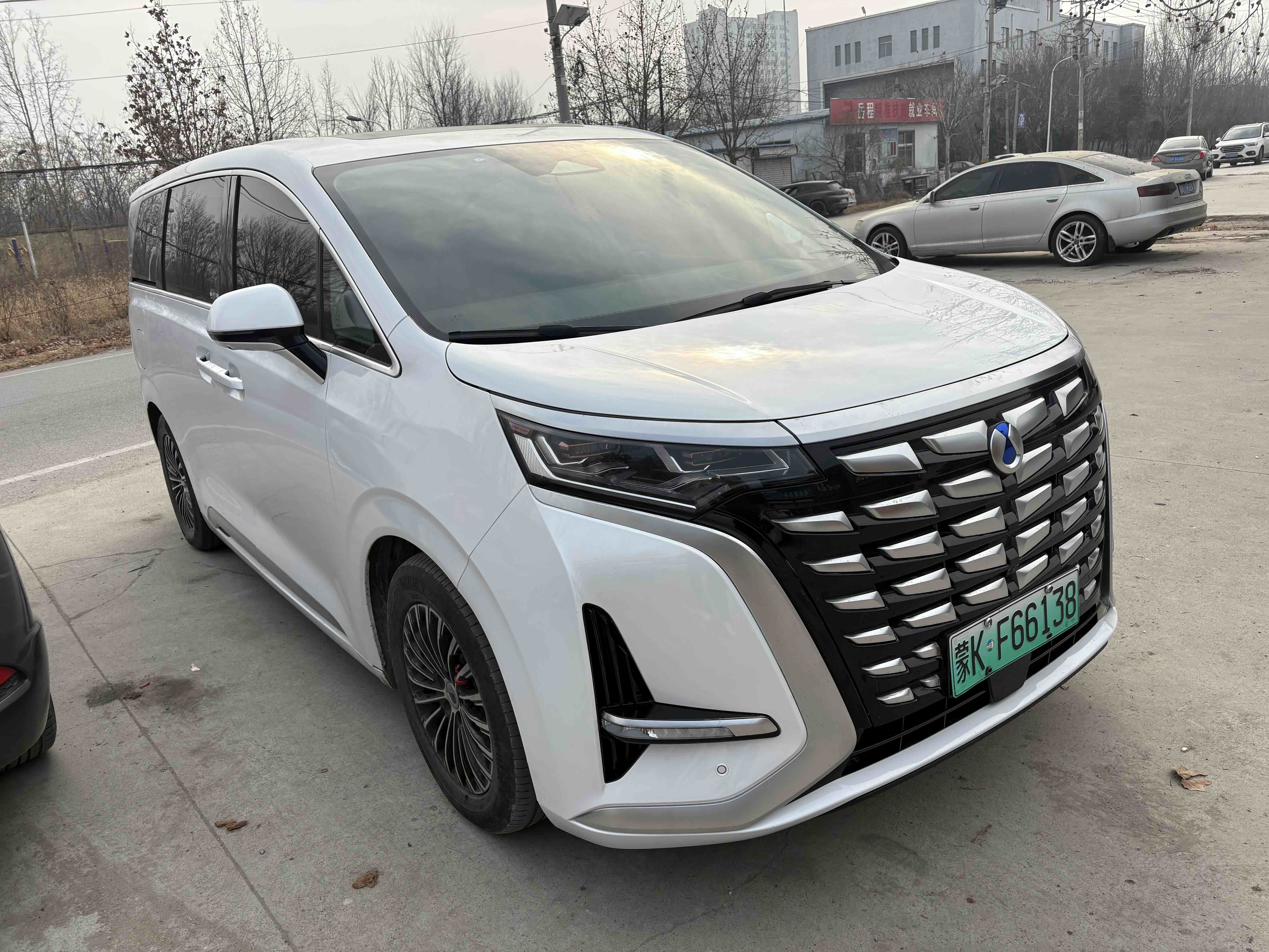 Denza D9 2023 изображение автомобиля #12