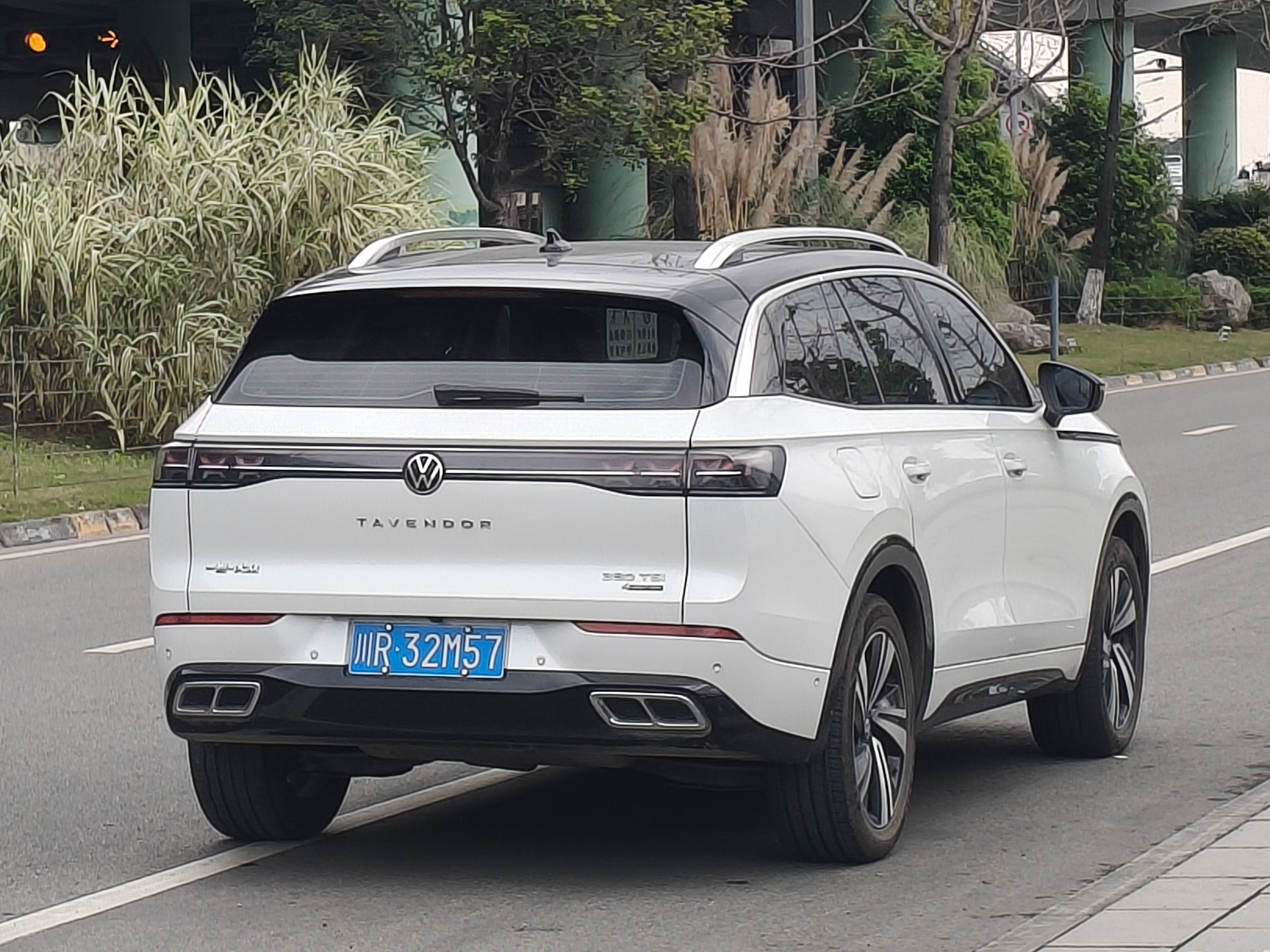 Volkswagen Tavendor 2023 immagine di auto #12