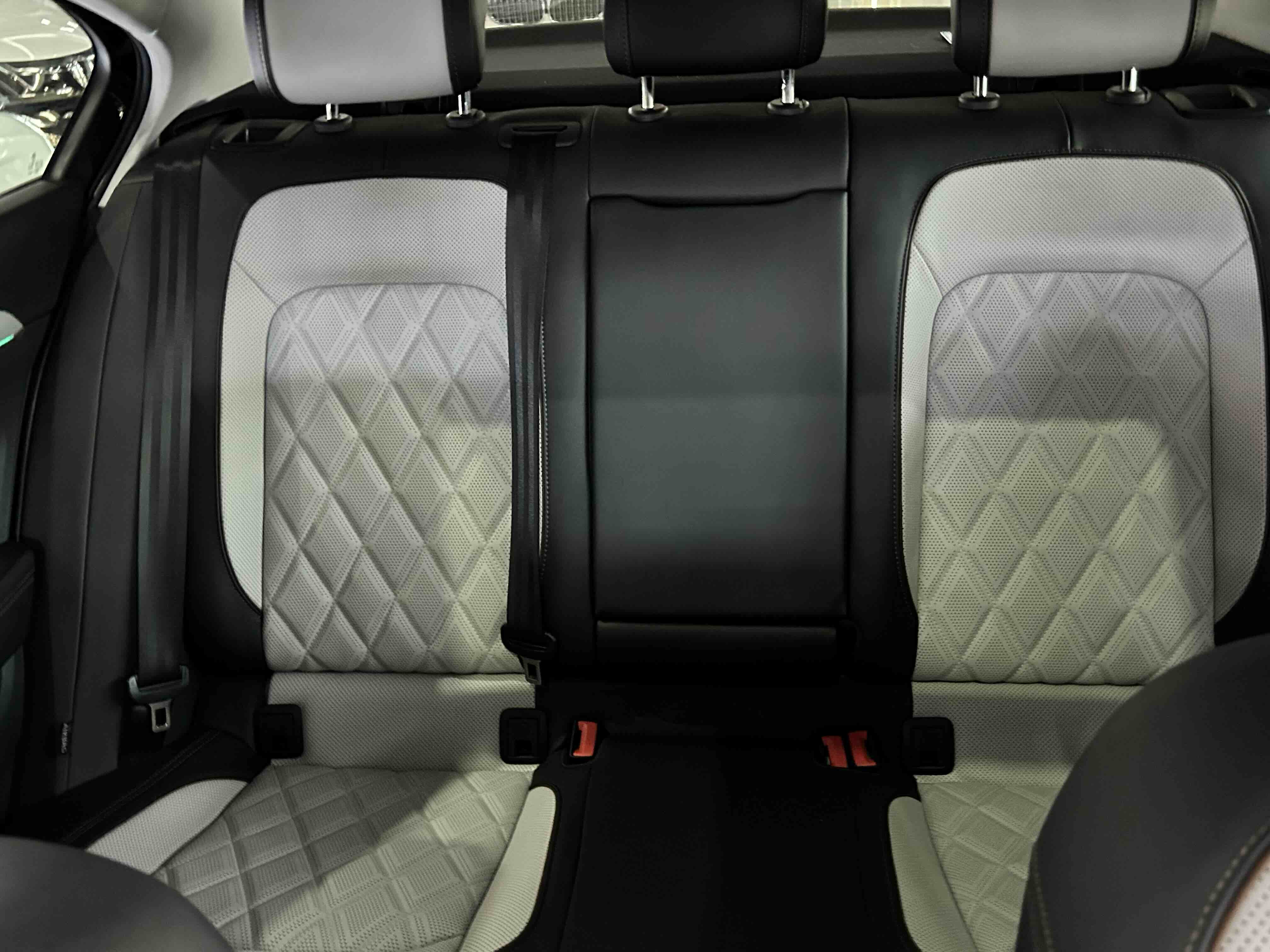 Volkswagen Magotan 2024 car image #12