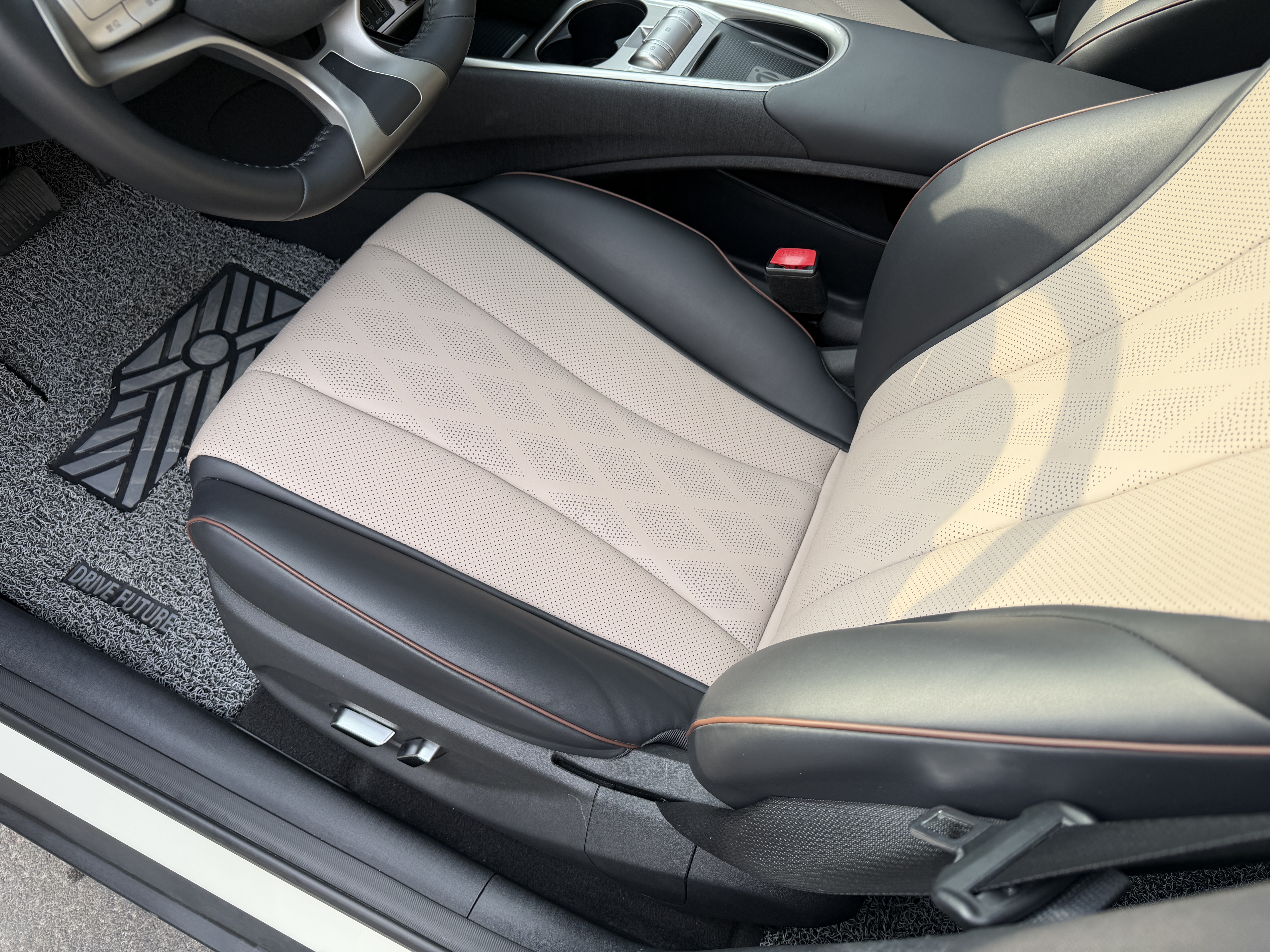 BYD Dolphin 2023 car image #12