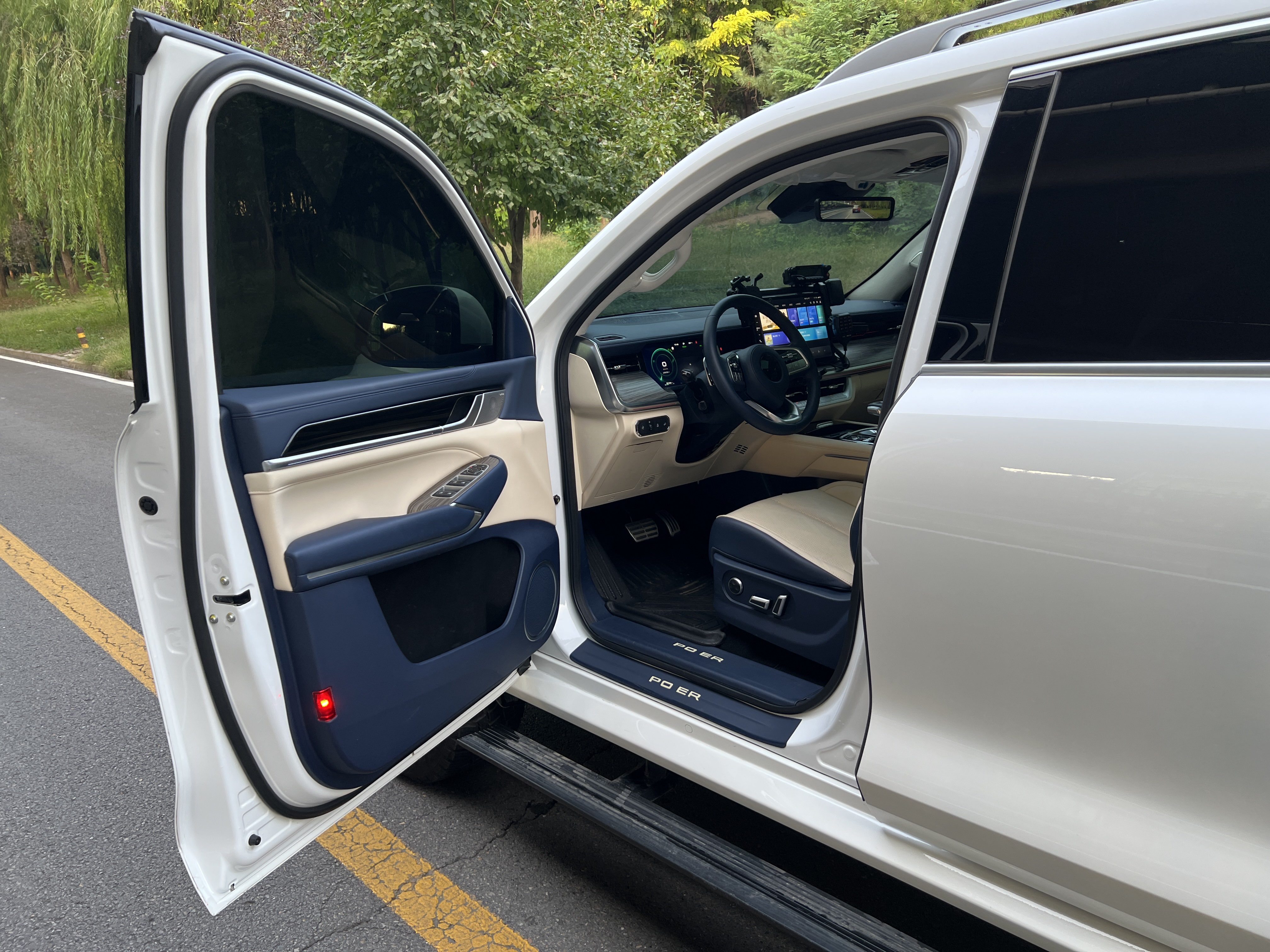 Great Wall Shanhai Pao 2023 car image #12