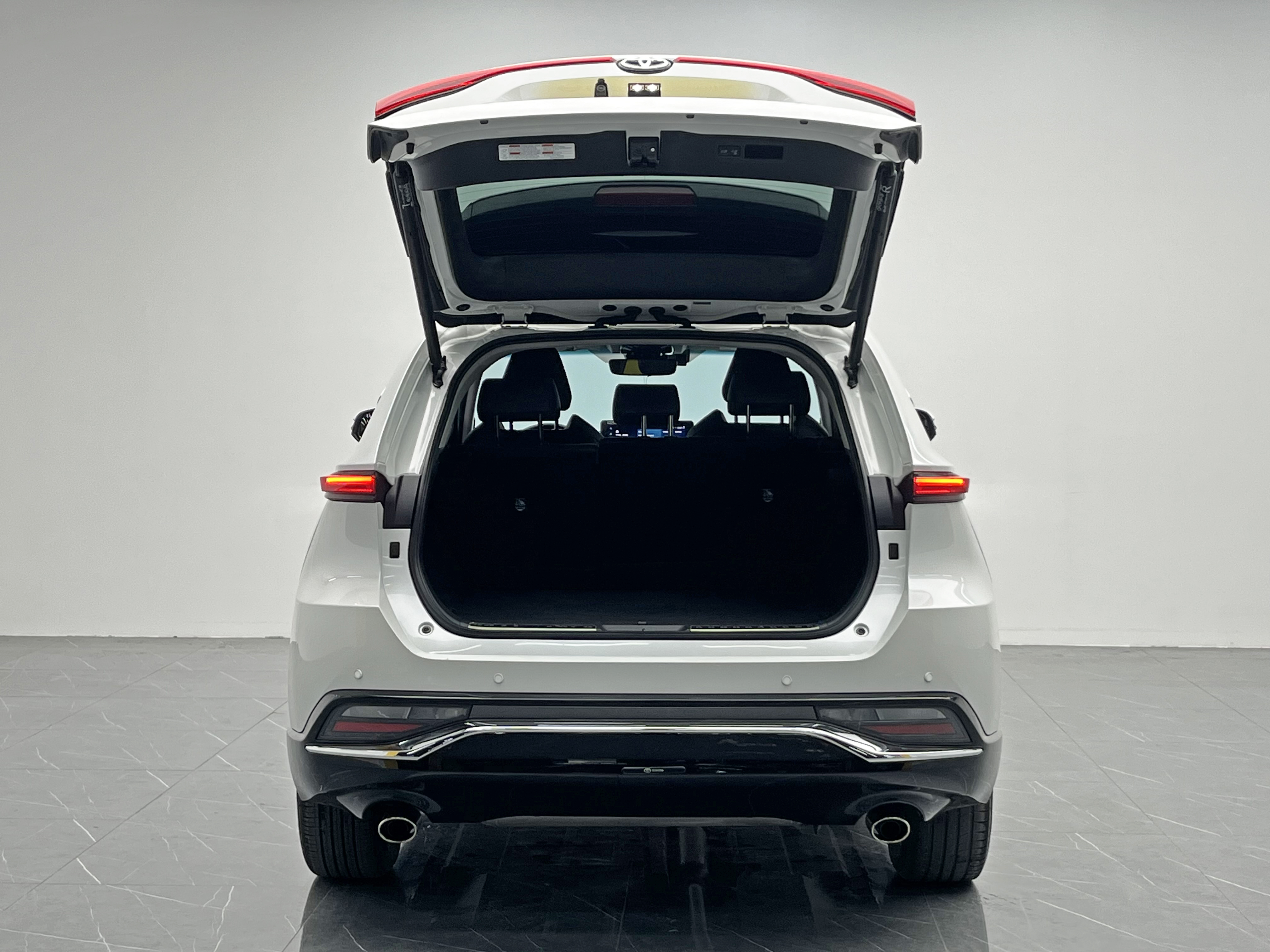 Toyota Venza 2024 car image #12