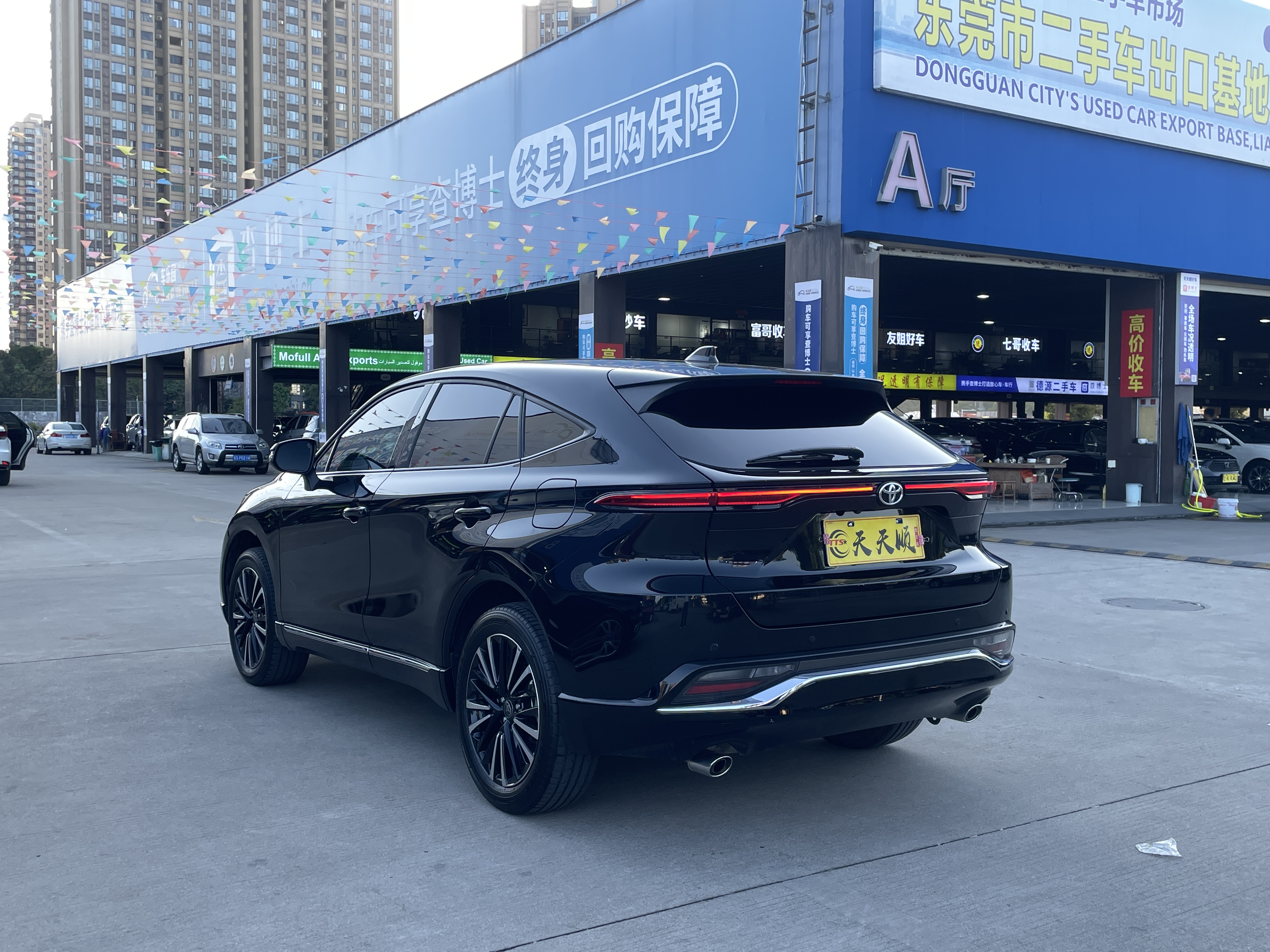 Toyota Venza 2024 car image #12