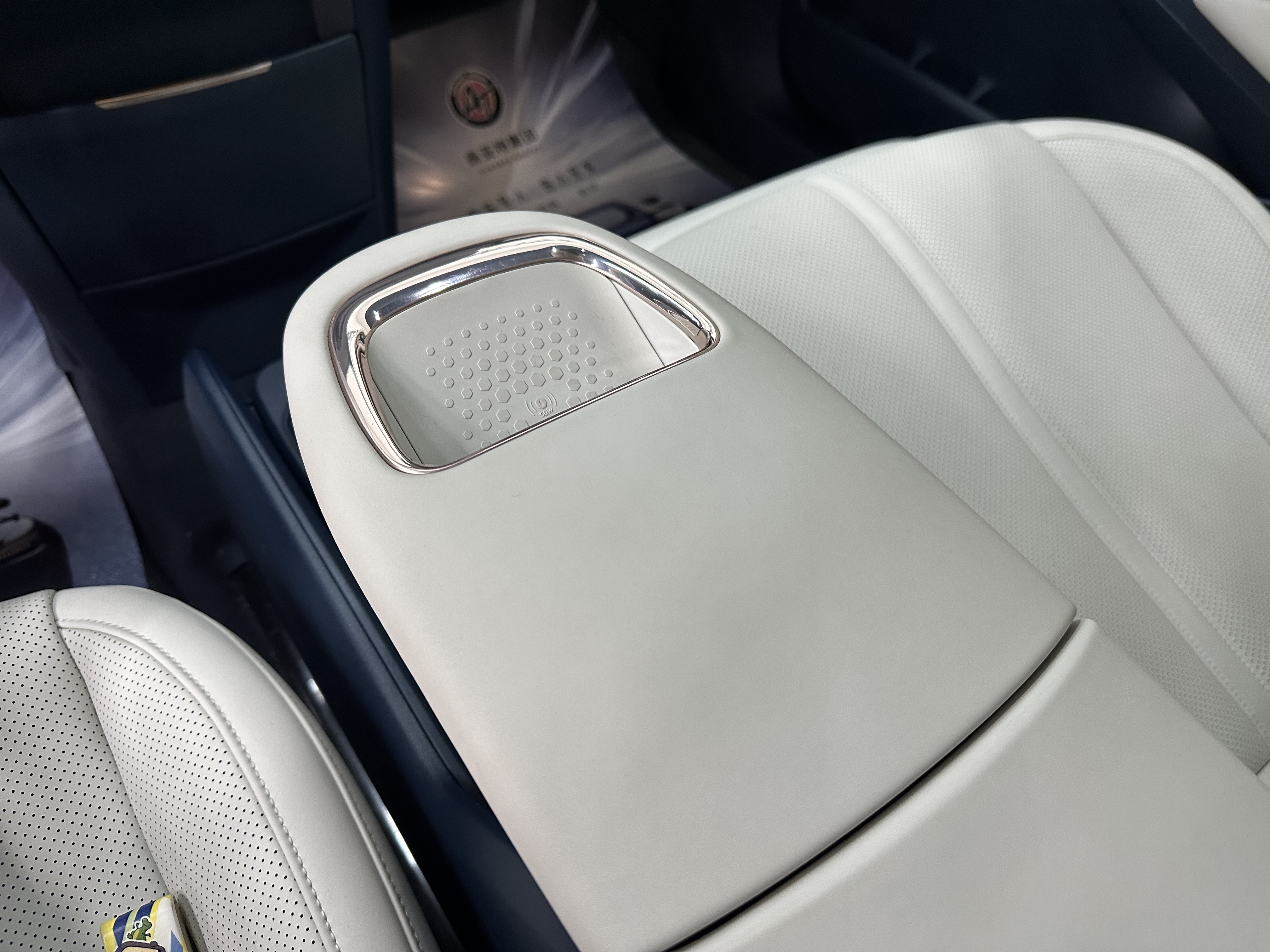 极氪 极氪X 2023 汽车图片 #12