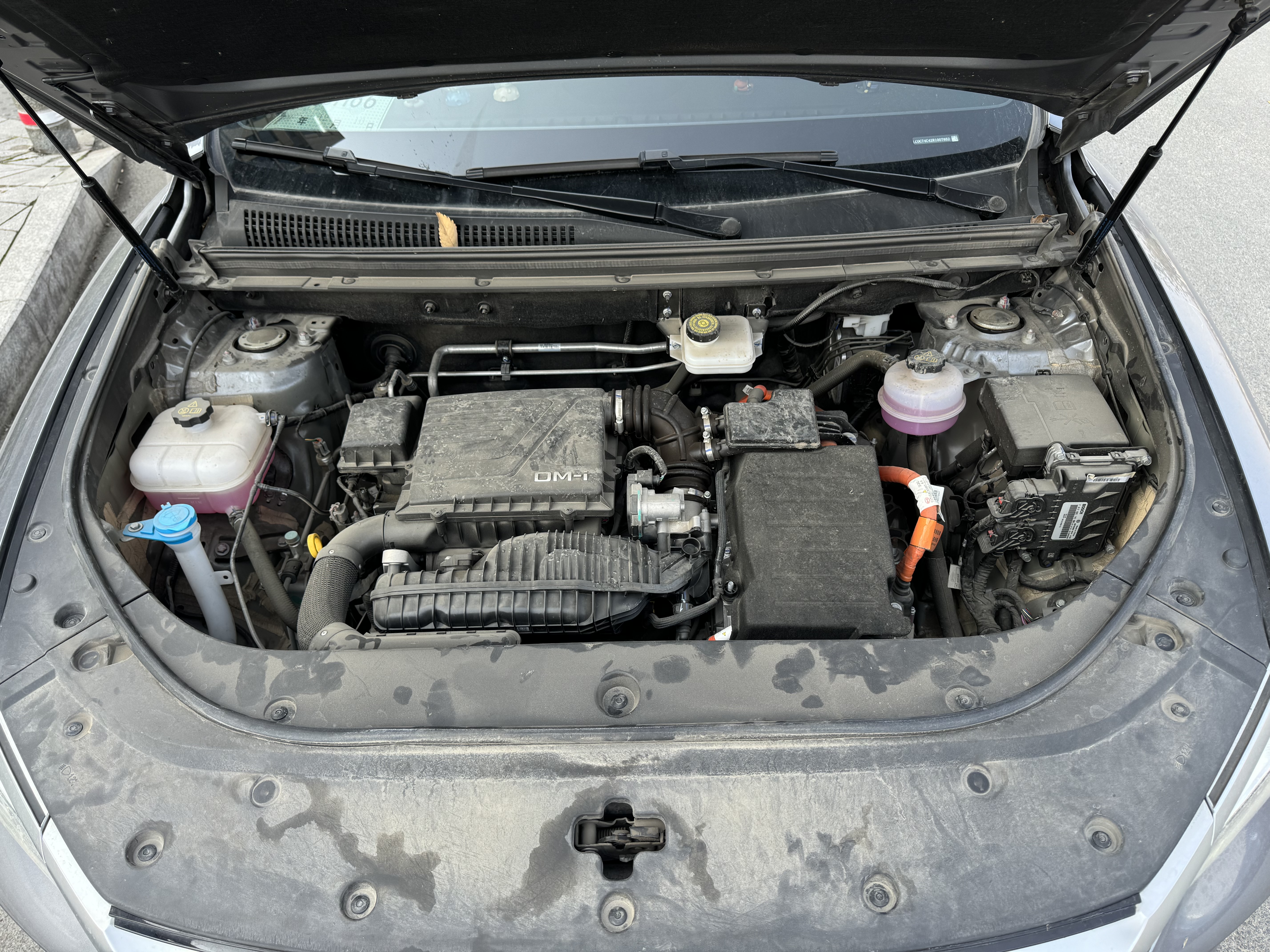 BYD Song Pro New Energy 2024 car image #12