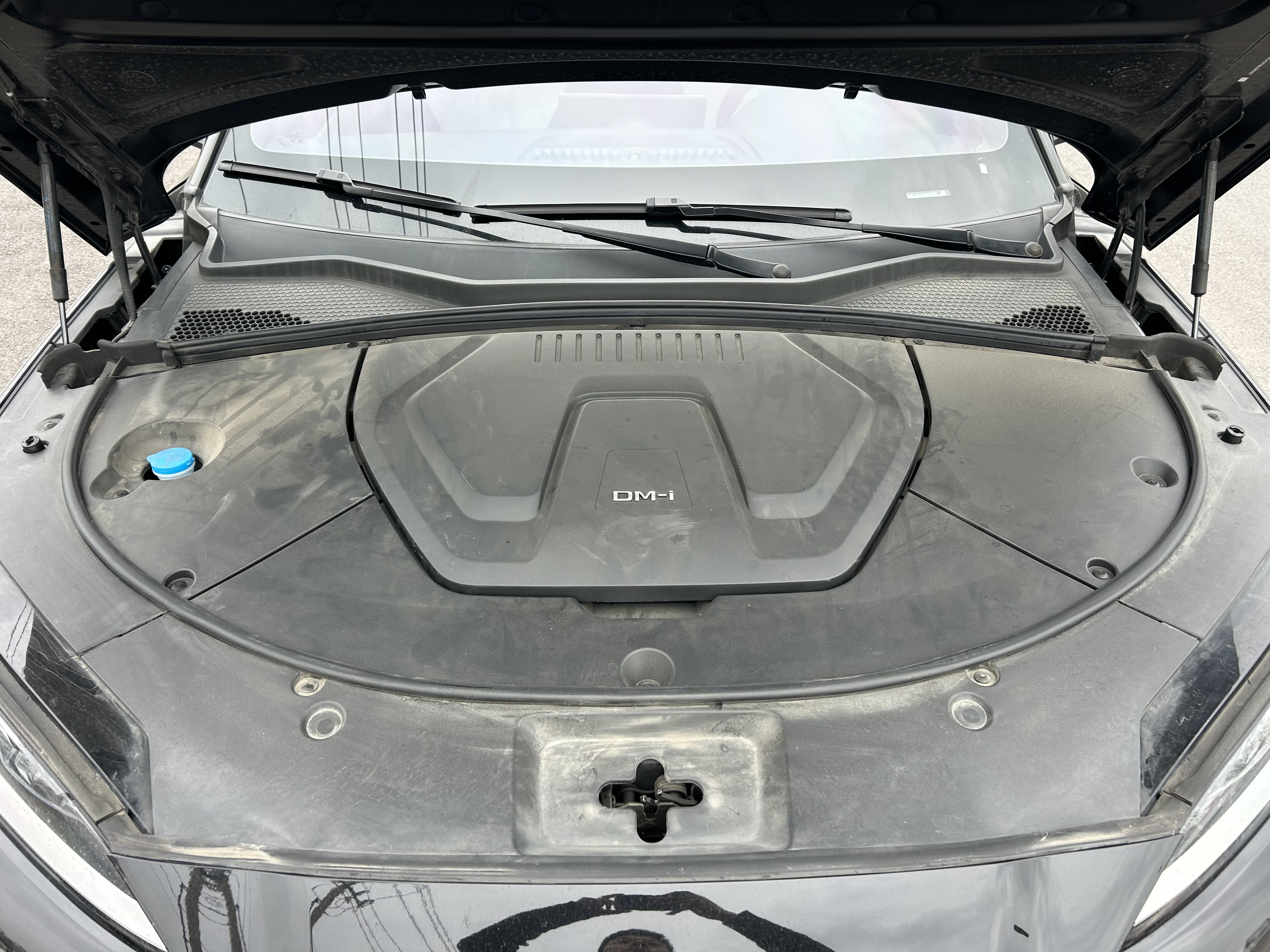 BYD Song Plus New Energy 2023 car image #12