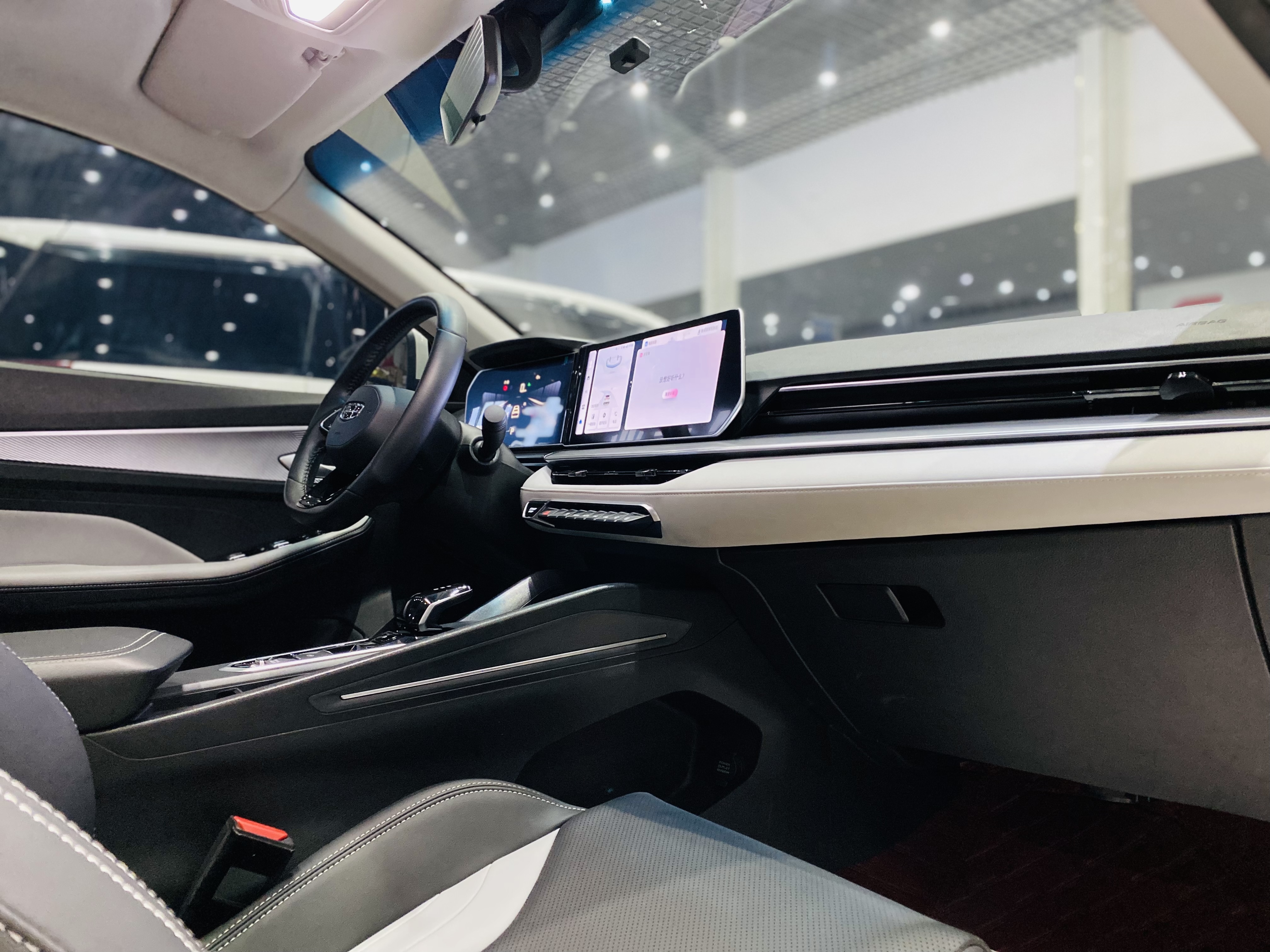 GEELY Binray 2024 immagine di auto #12