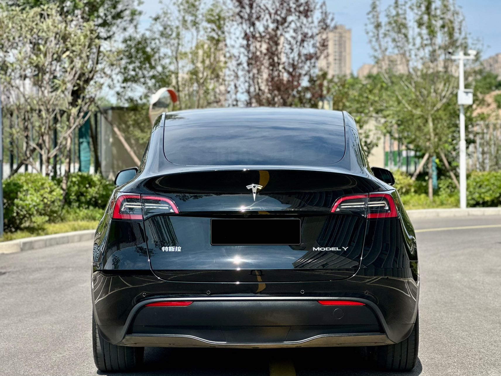 Tesla Model Y 2024 car image #12