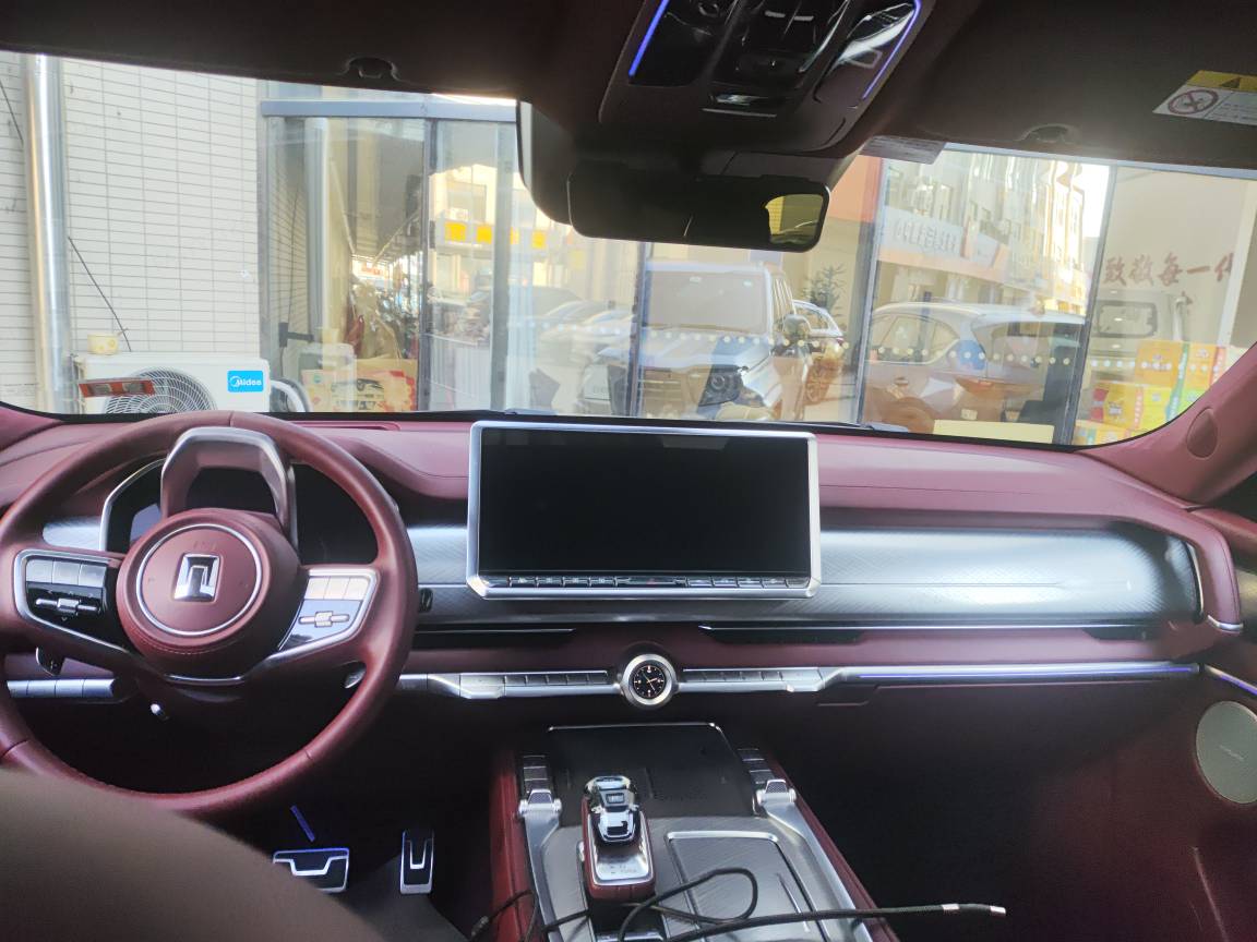 Tank 700 New Energy 2024 immagine di auto #12