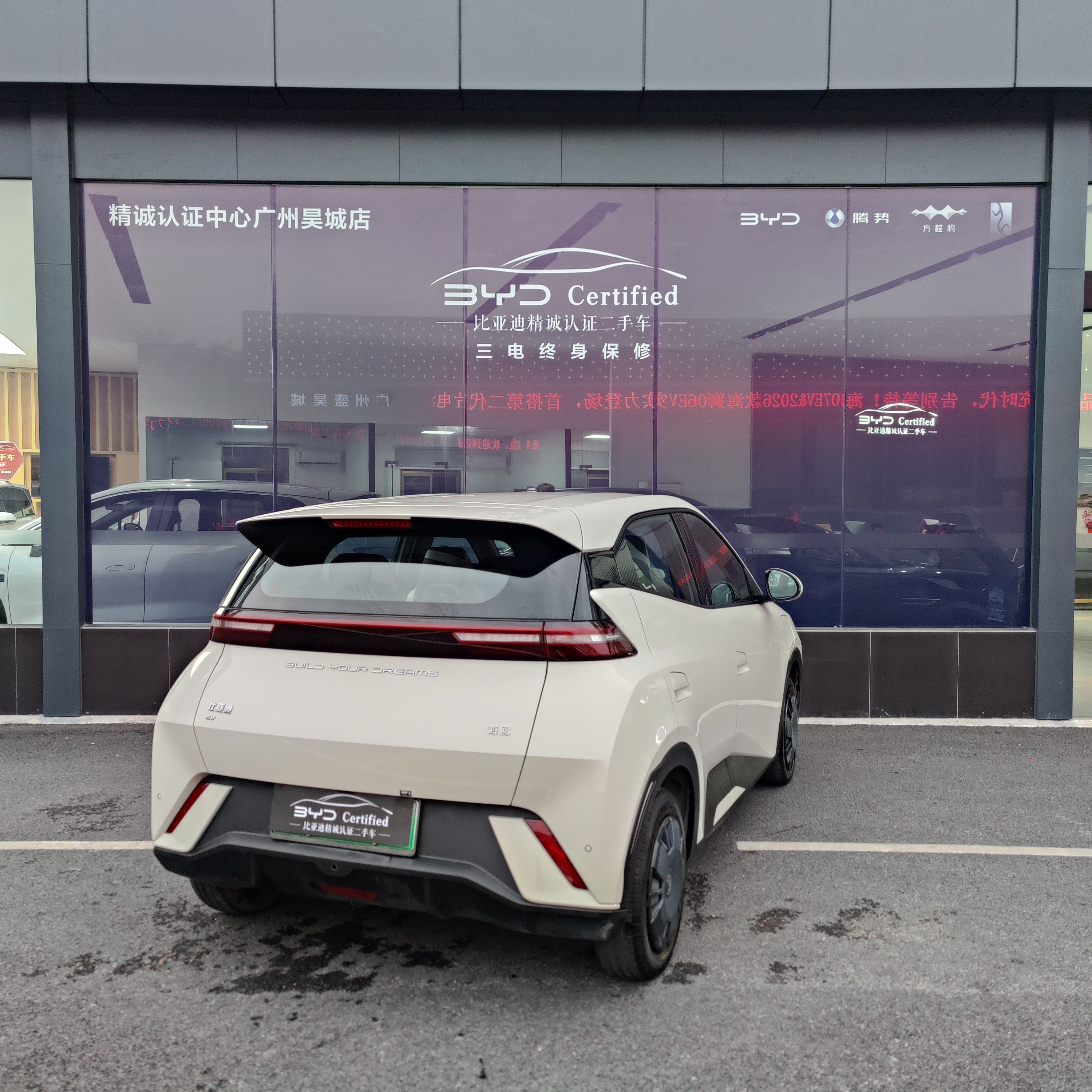 BYD Seagull 2024 car image #12