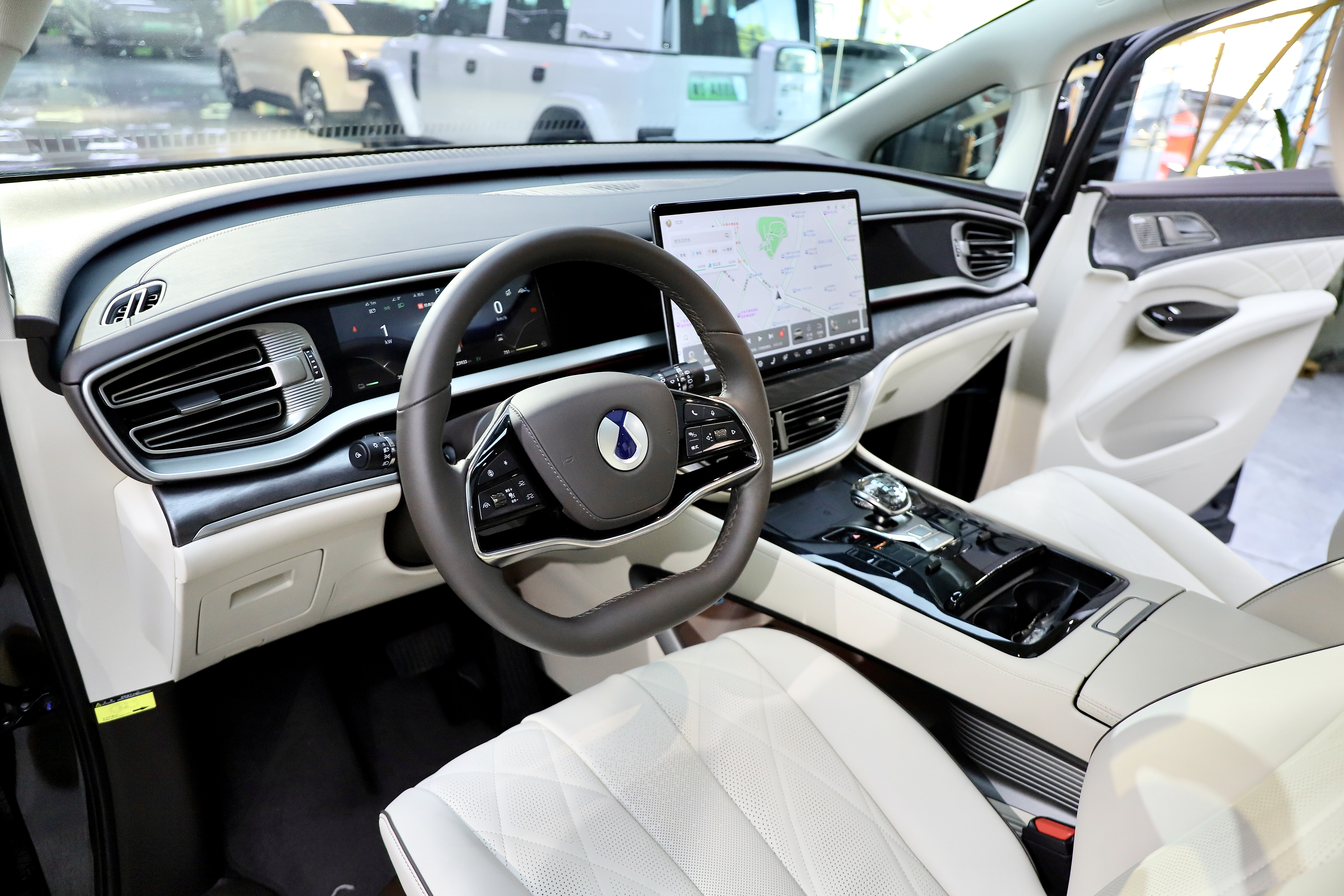 Denza D9 2024 immagine di auto #12