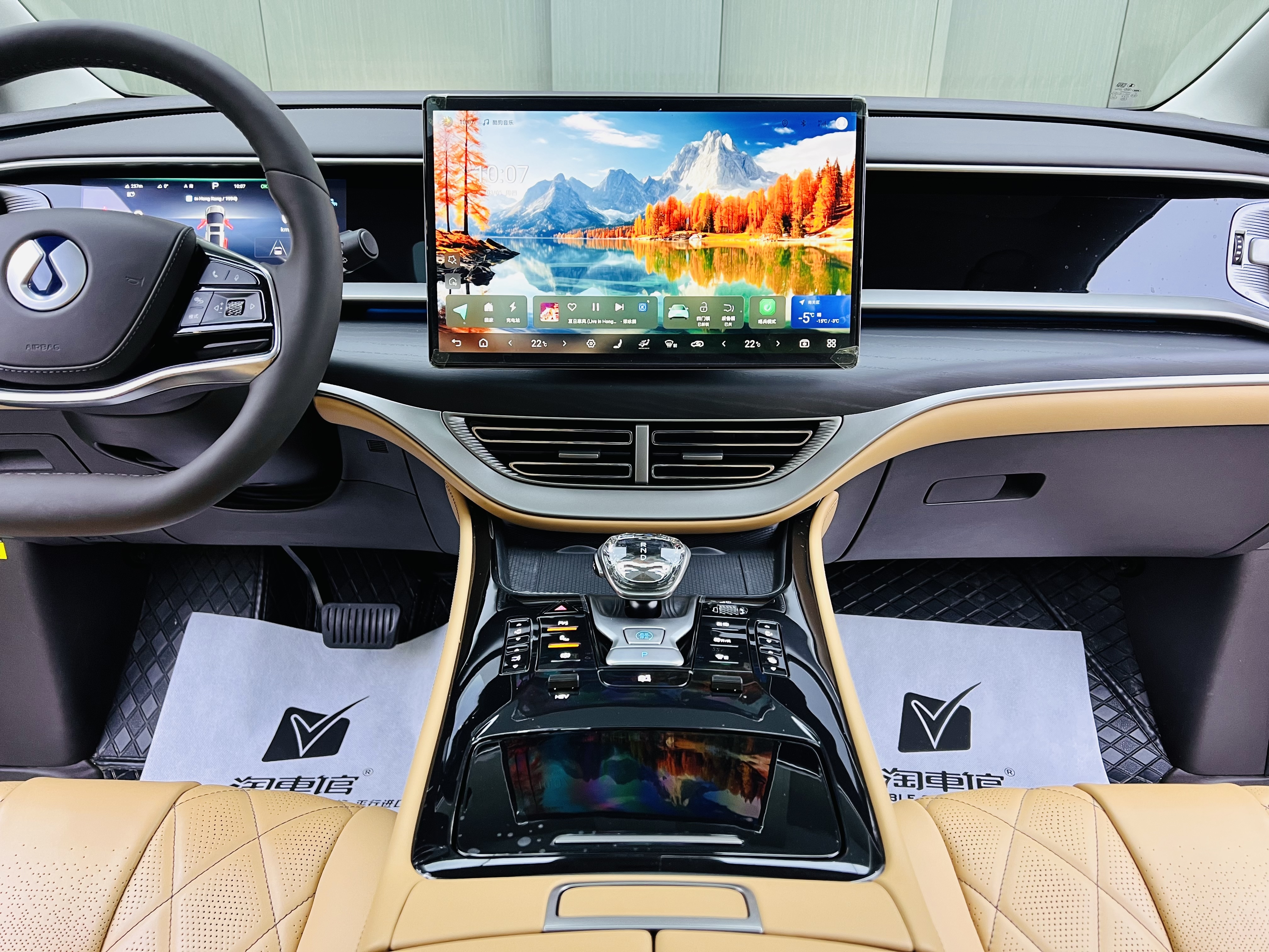 Denza D9 2025 image de voiture #12