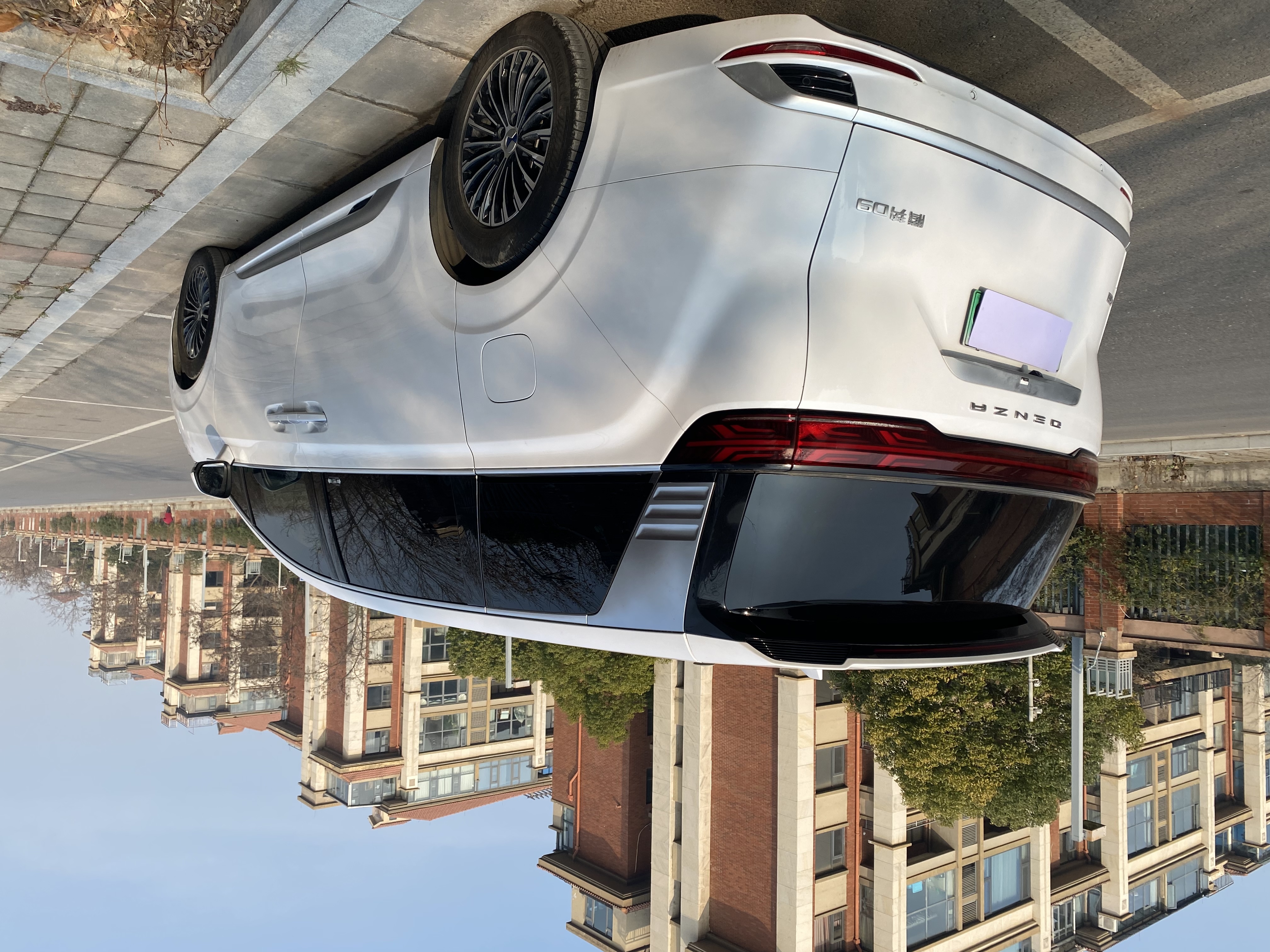 Denza D9 2024 imagem de carro #12