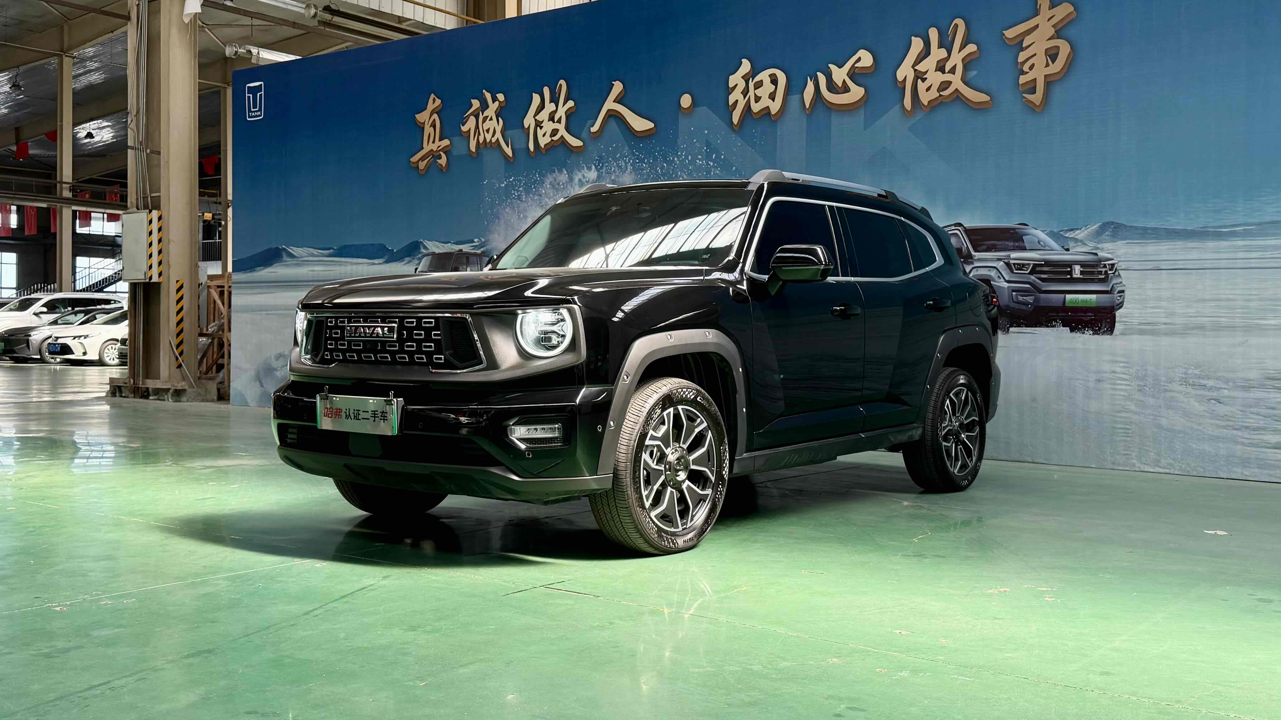 Haval X Dog 2 New Energy 2024 car image #12