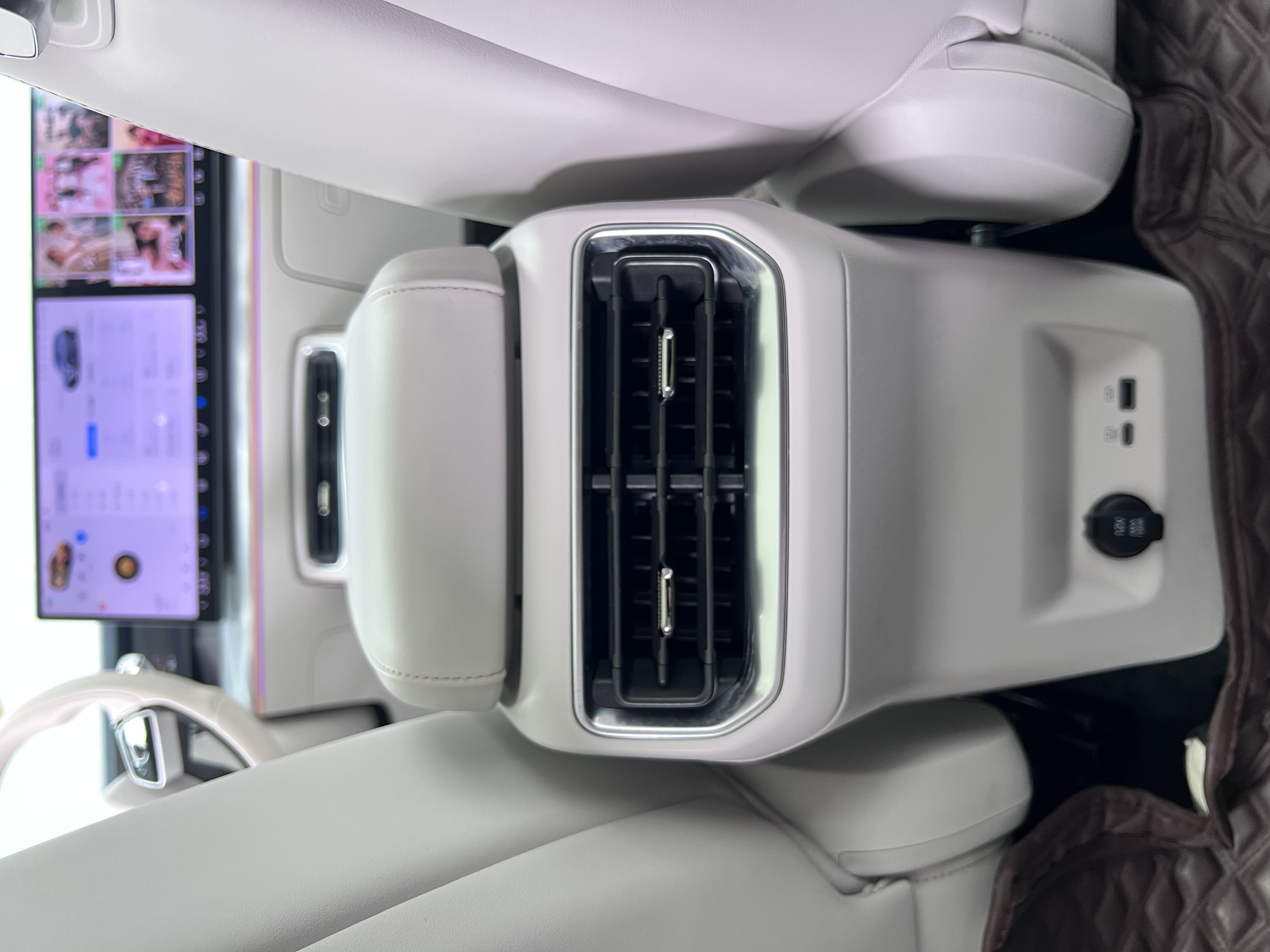 Neta L 2024 imagen de coche #12