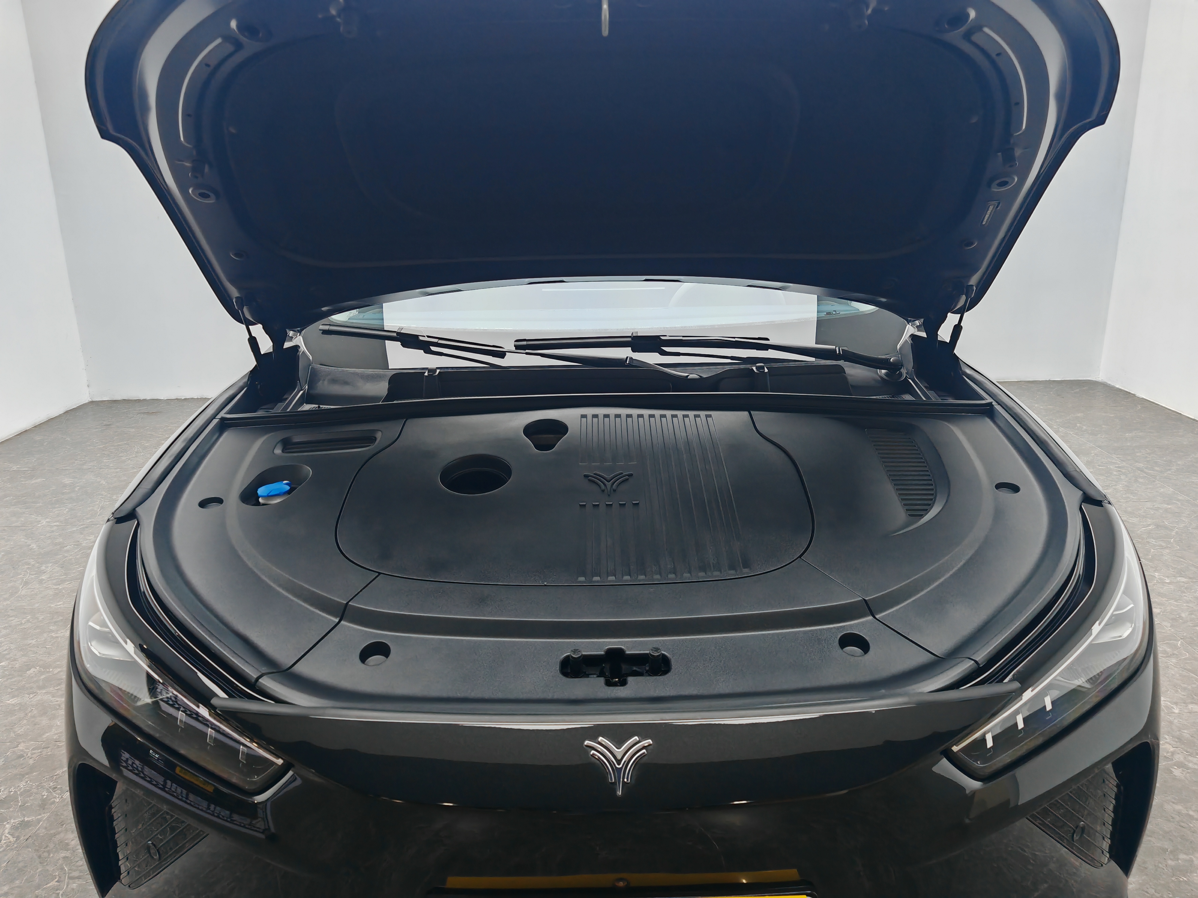 Neta L 2024 imagen de coche #12