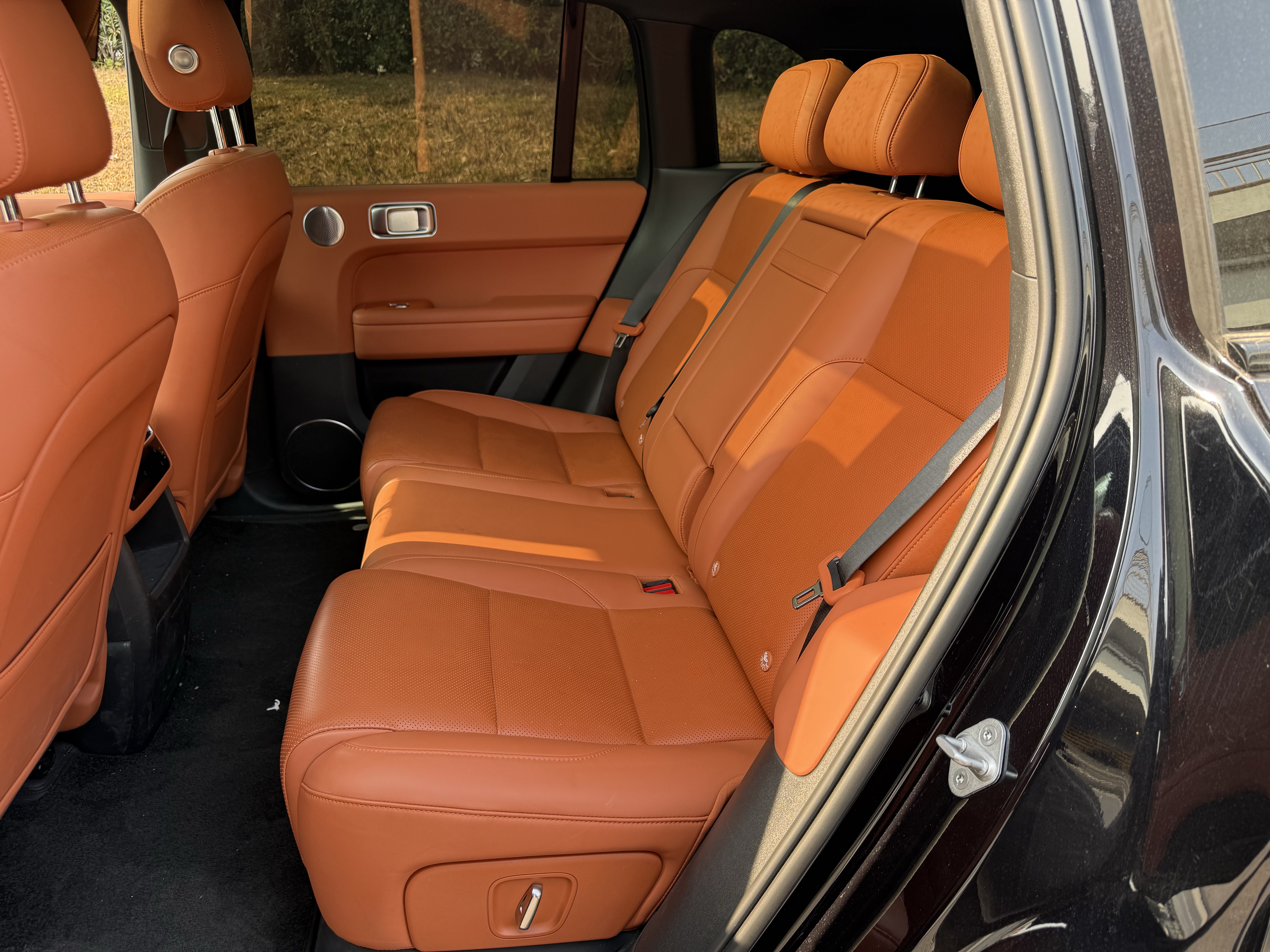 Li L6 2024 image de voiture #12