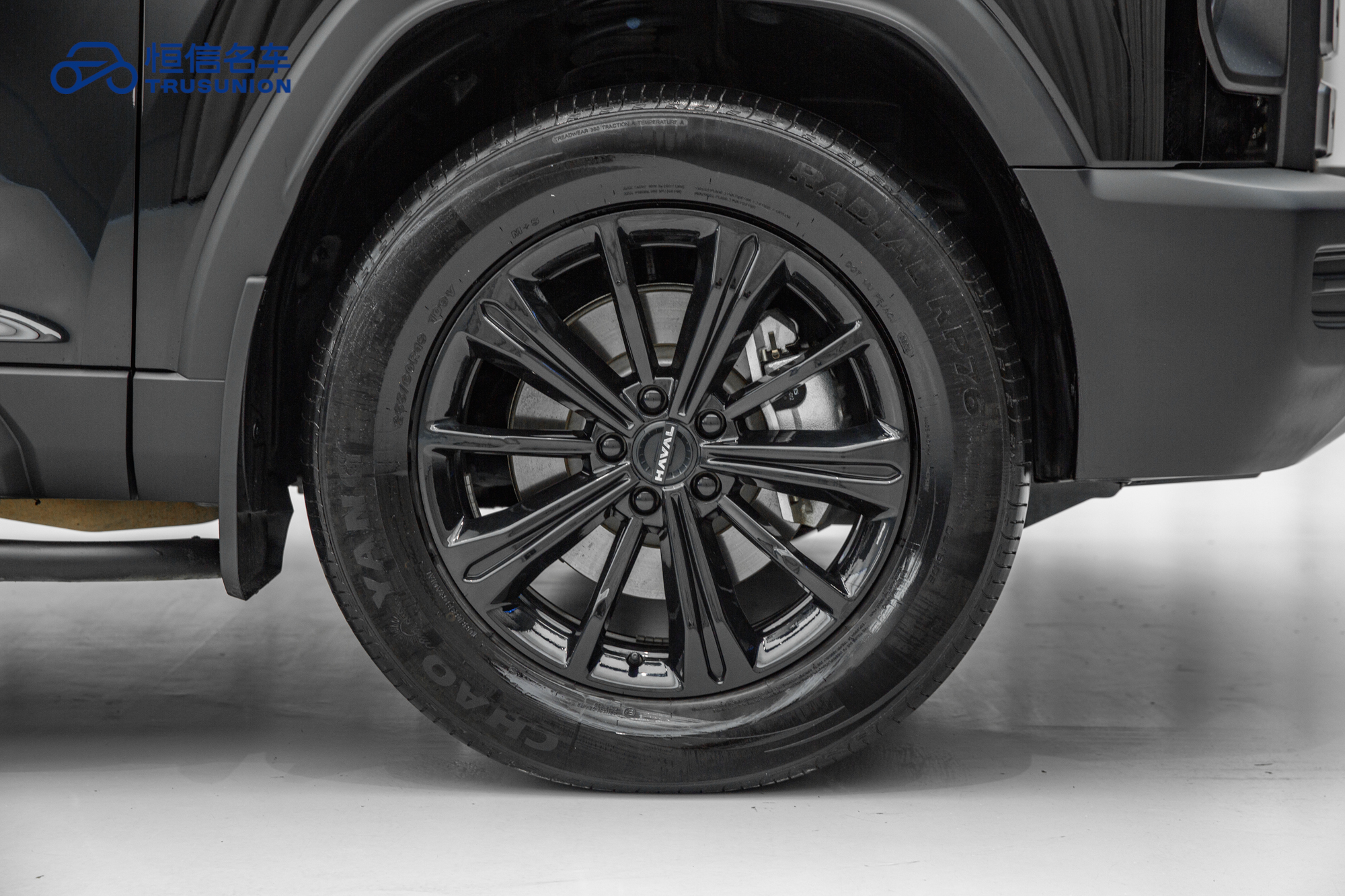 Haval Raptor 2024 immagine di auto #12