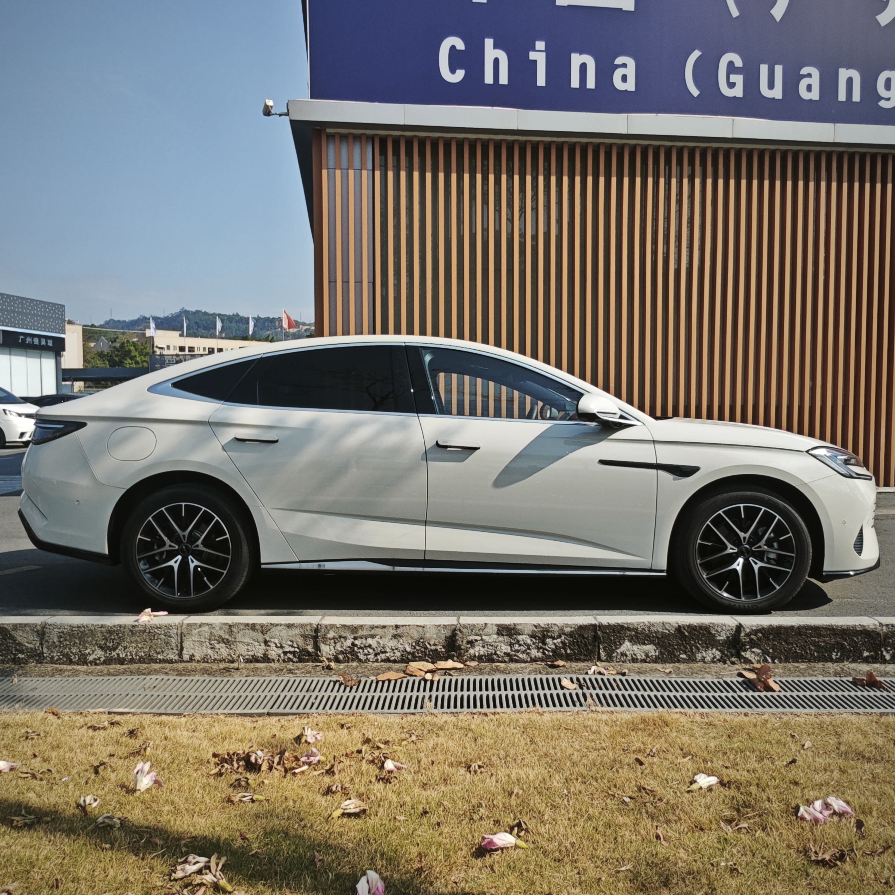 BYD Seal 07 DM-i 2025 صورة سيارة #12