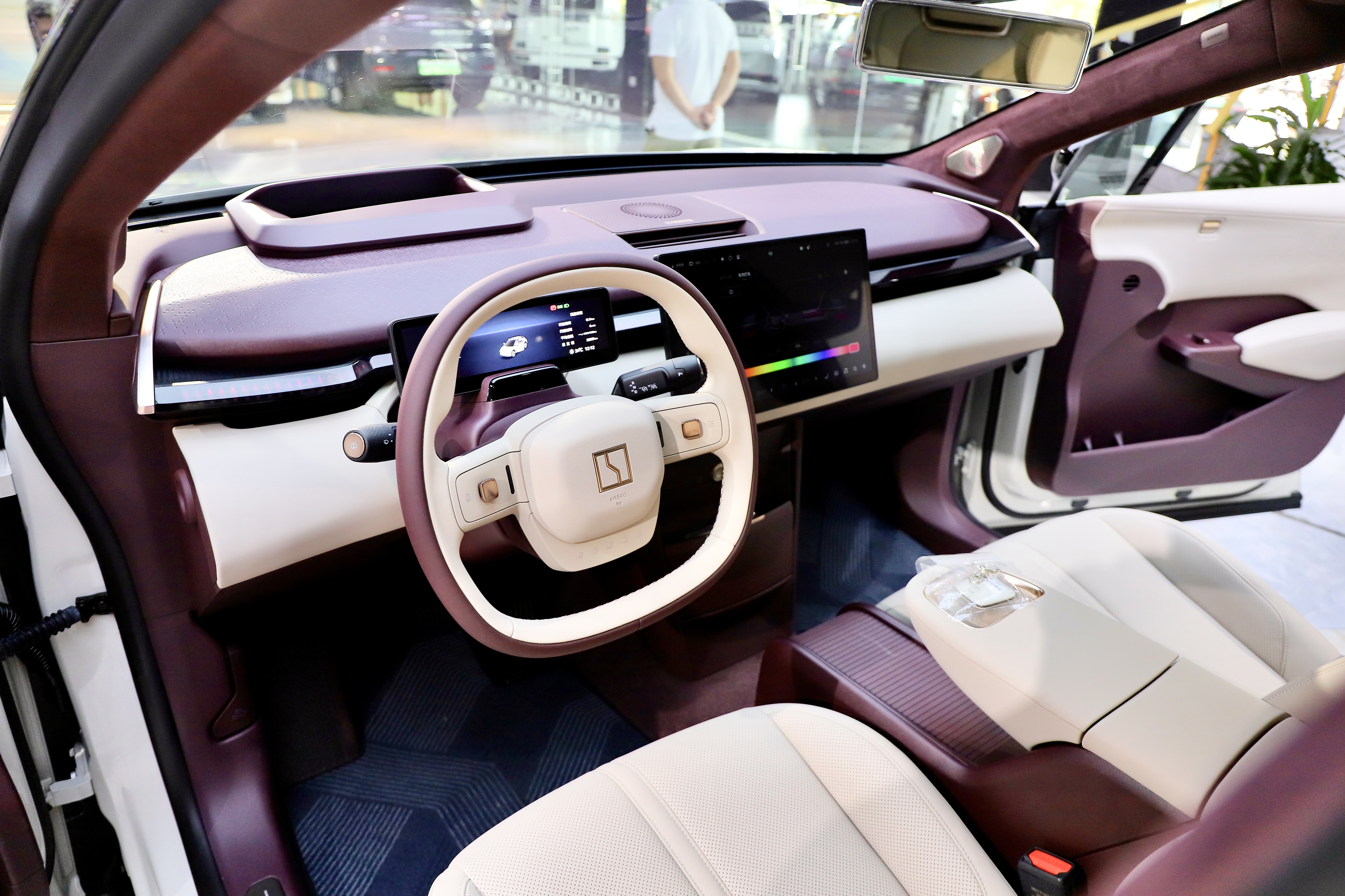 极氪 极氪X 2024 汽车图片 #12