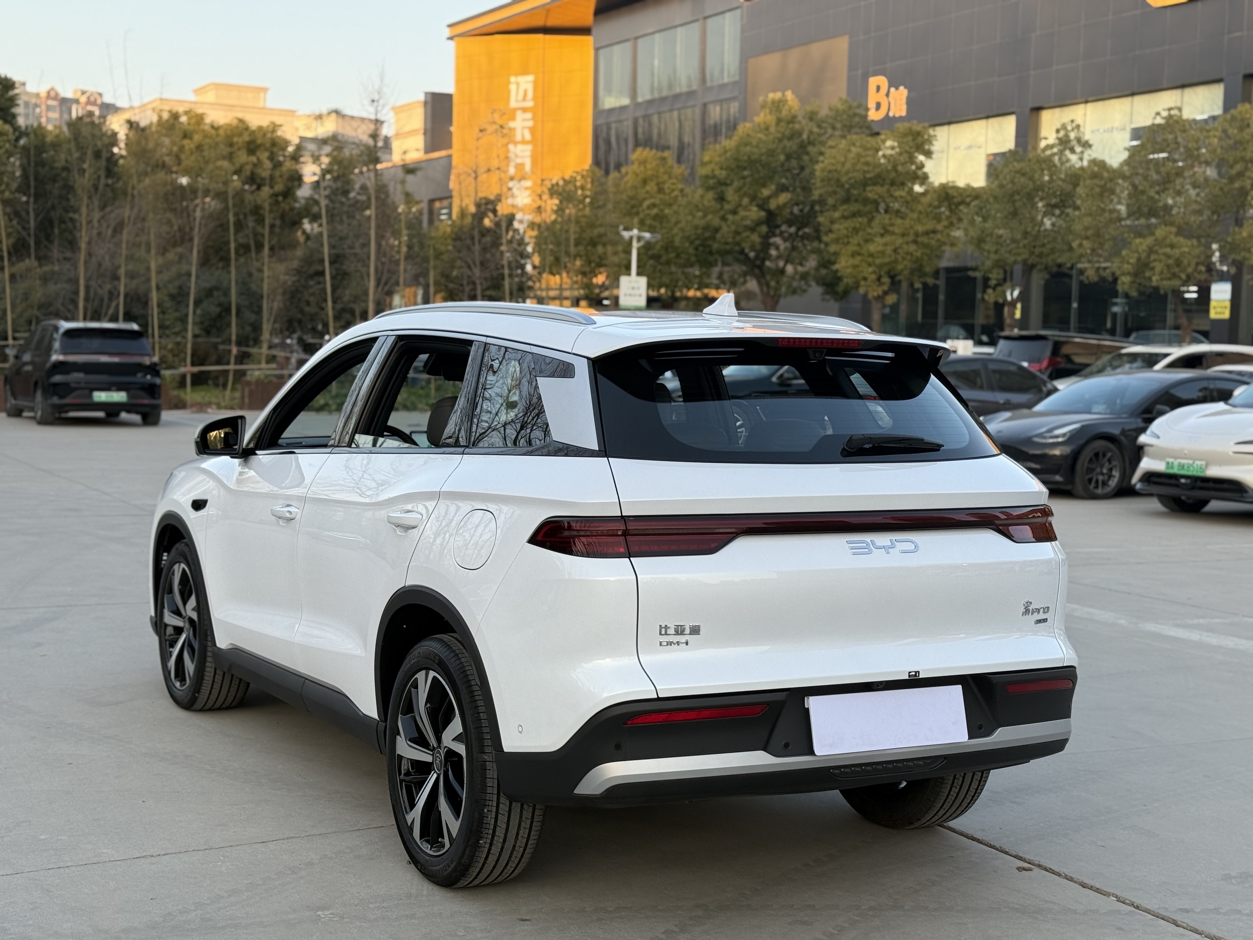 BYD Song Pro New Energy 2025 car image #12