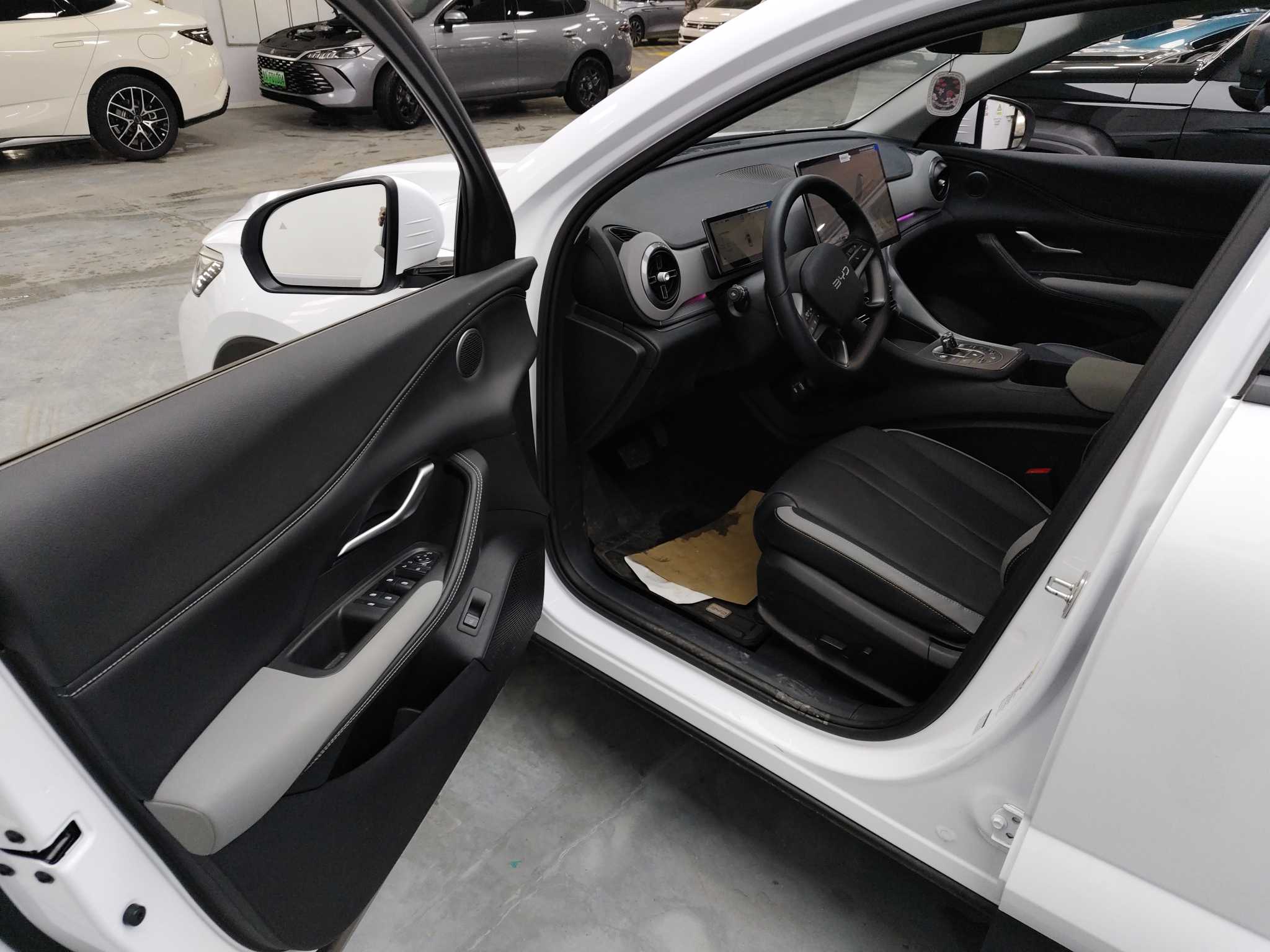 BYD Sea Lion 05 DM-i 2025 car image #12