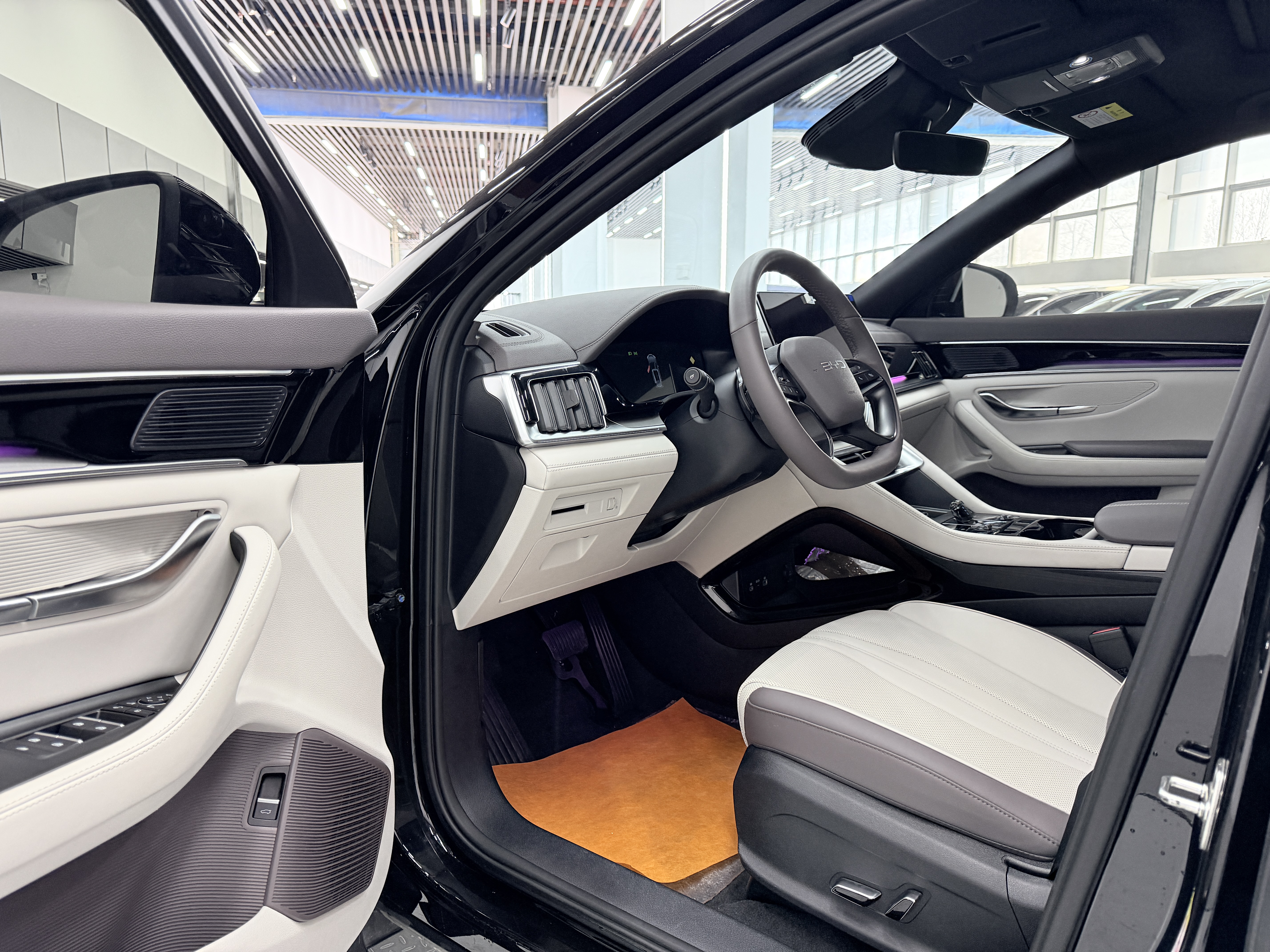 BYD Song Plus New Energy 2025 #12 BYD Song Plus New Energy 2025 car image #12