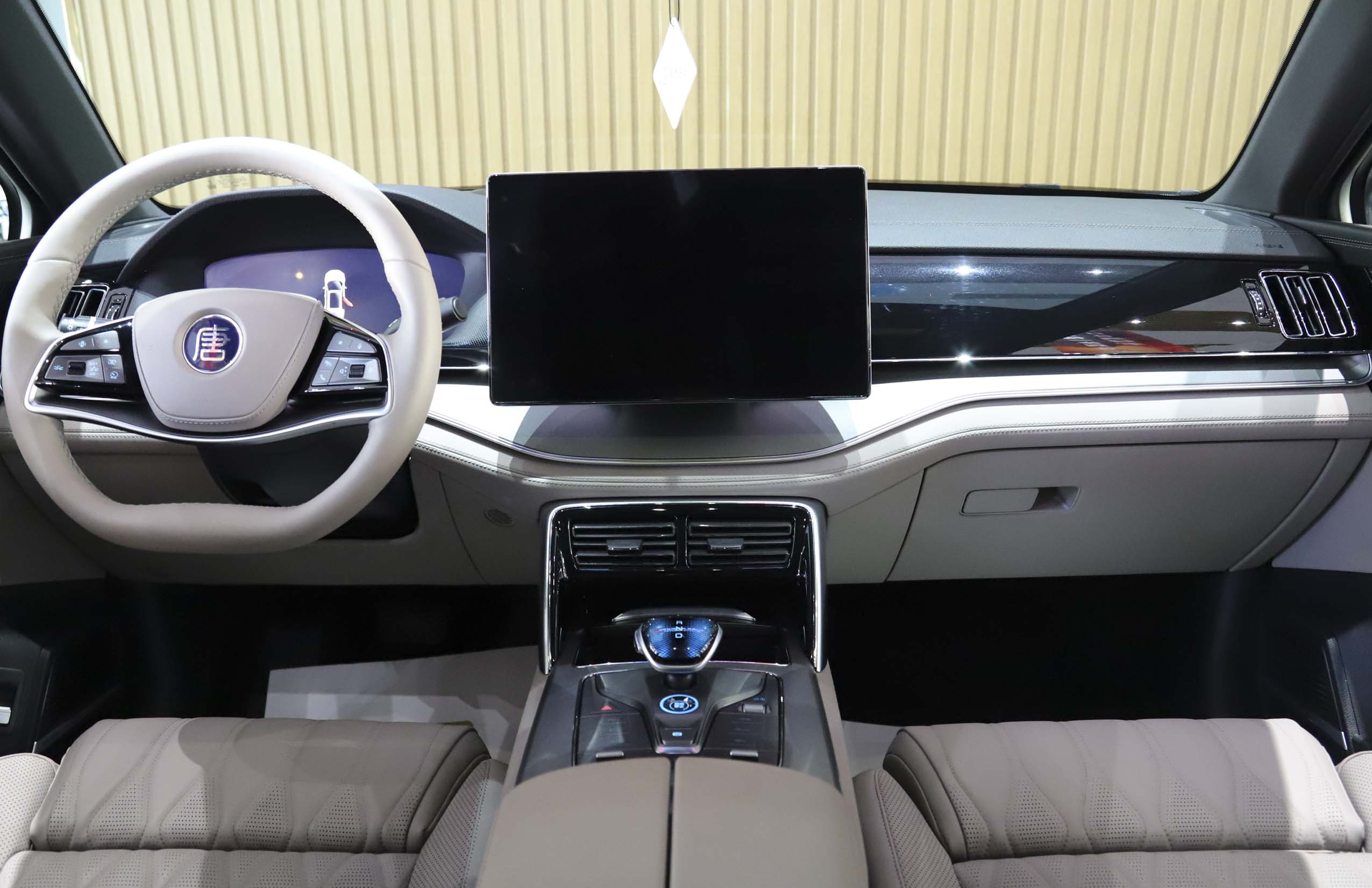 BYD Tang New Energy 2025 car image #12