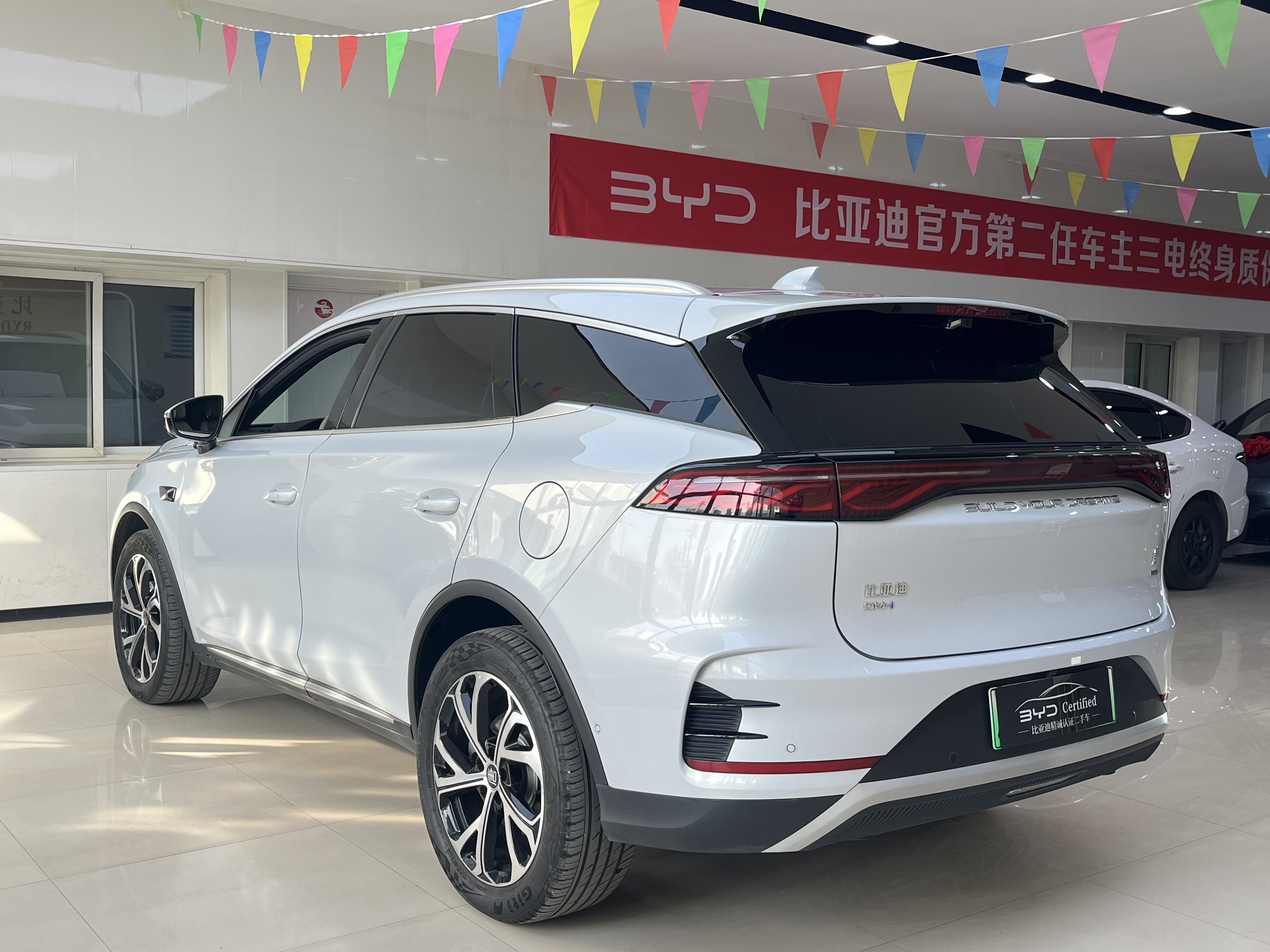 BYD Tang New Energy 2025 car image #12