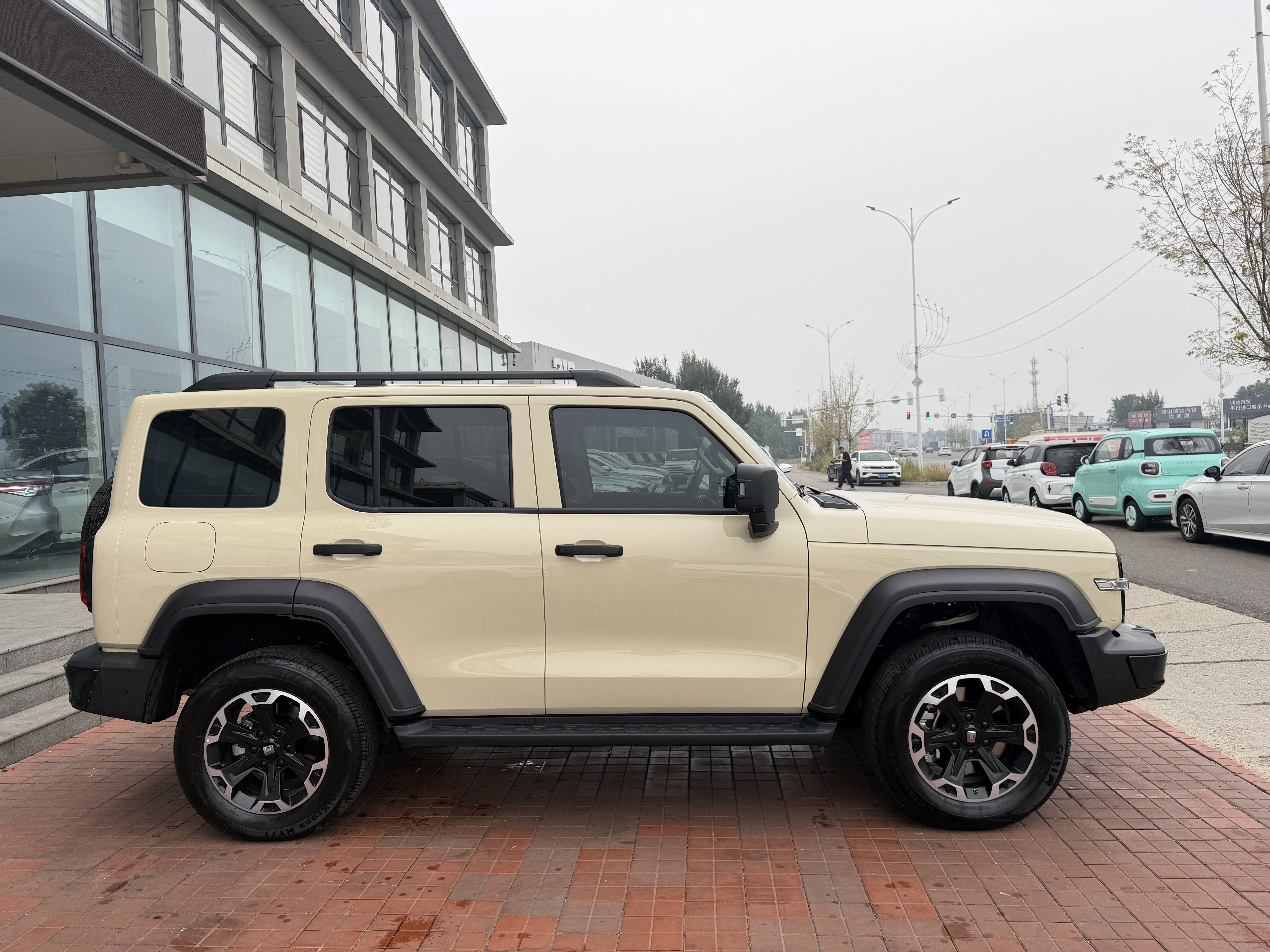 Tank 300 New Energy 2025 car image #12