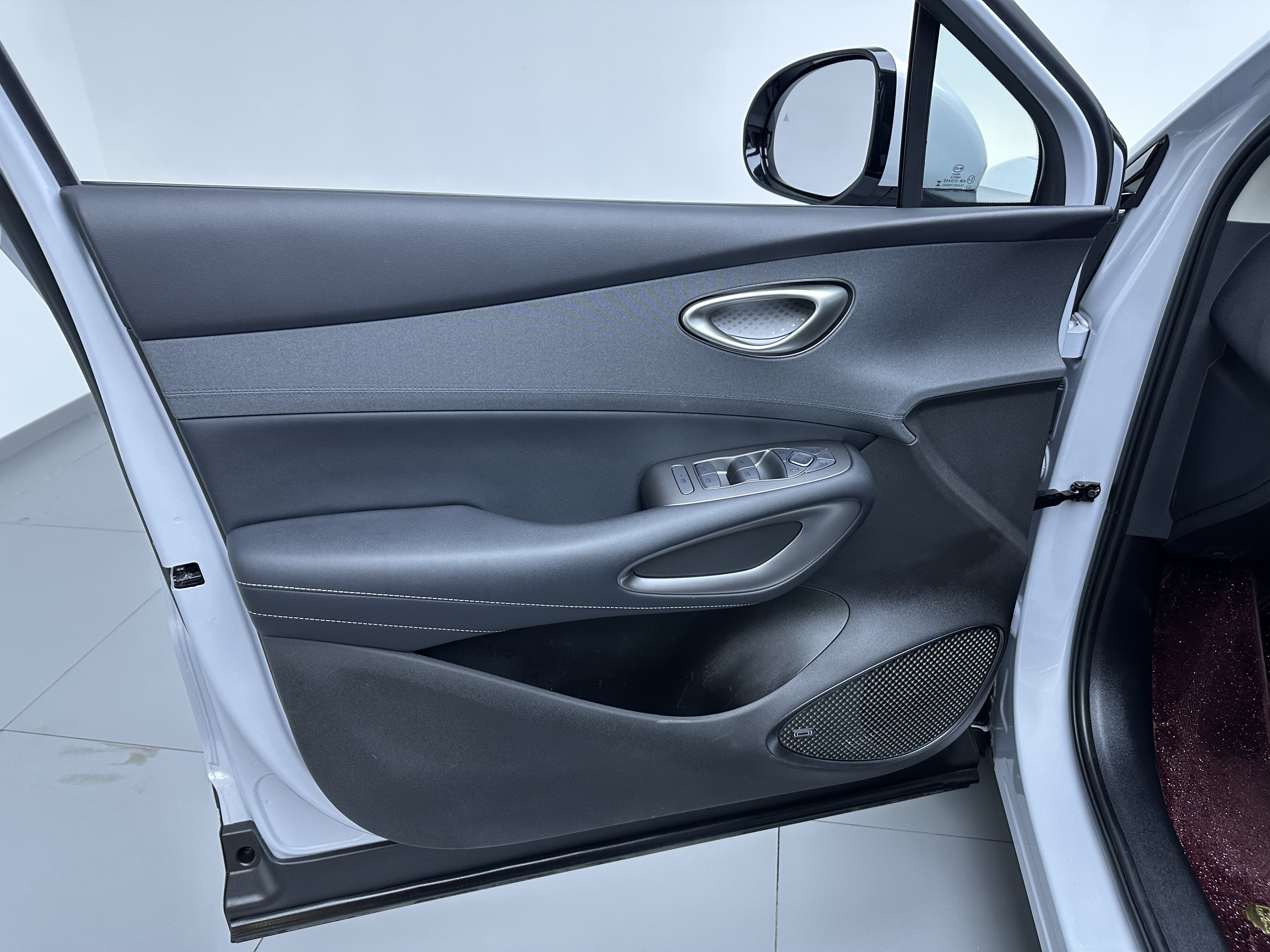 BYD Sea Lion 05 EV 2025 car image #12