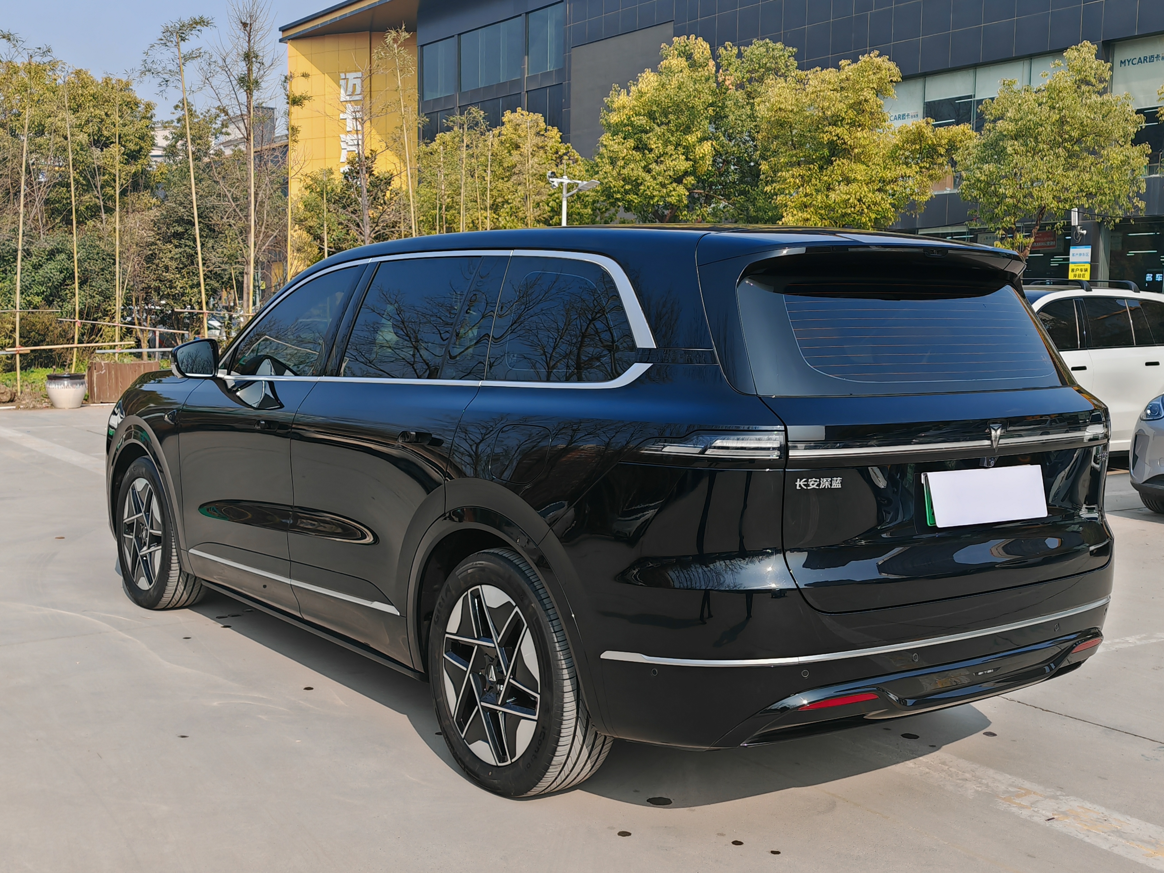 Deepal S09 2025 car image #12